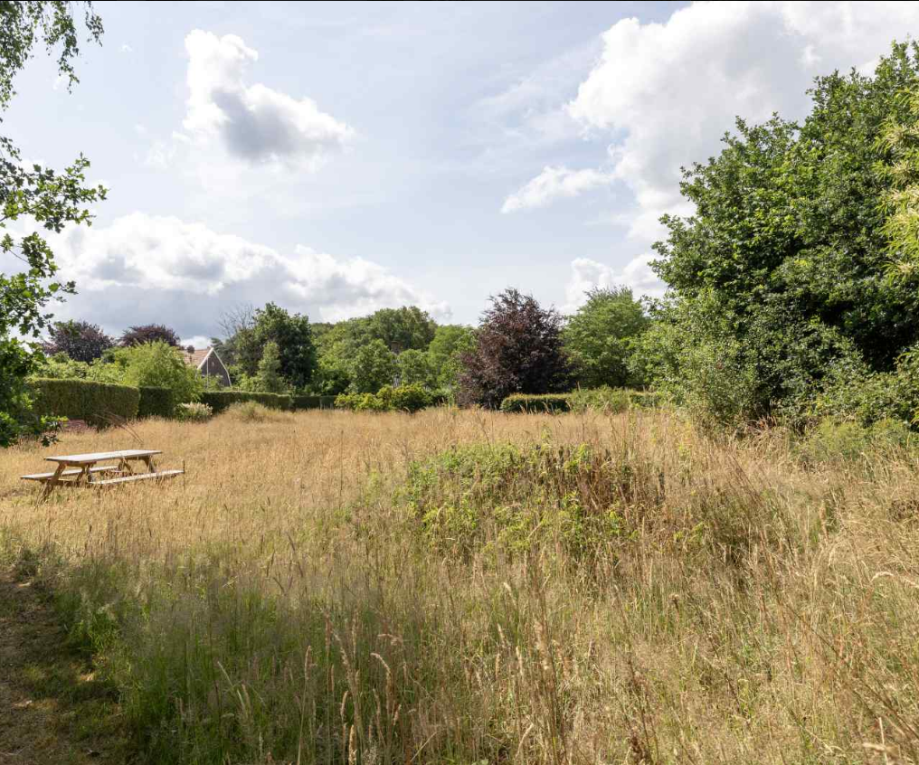 Casa nella natura a Vledder