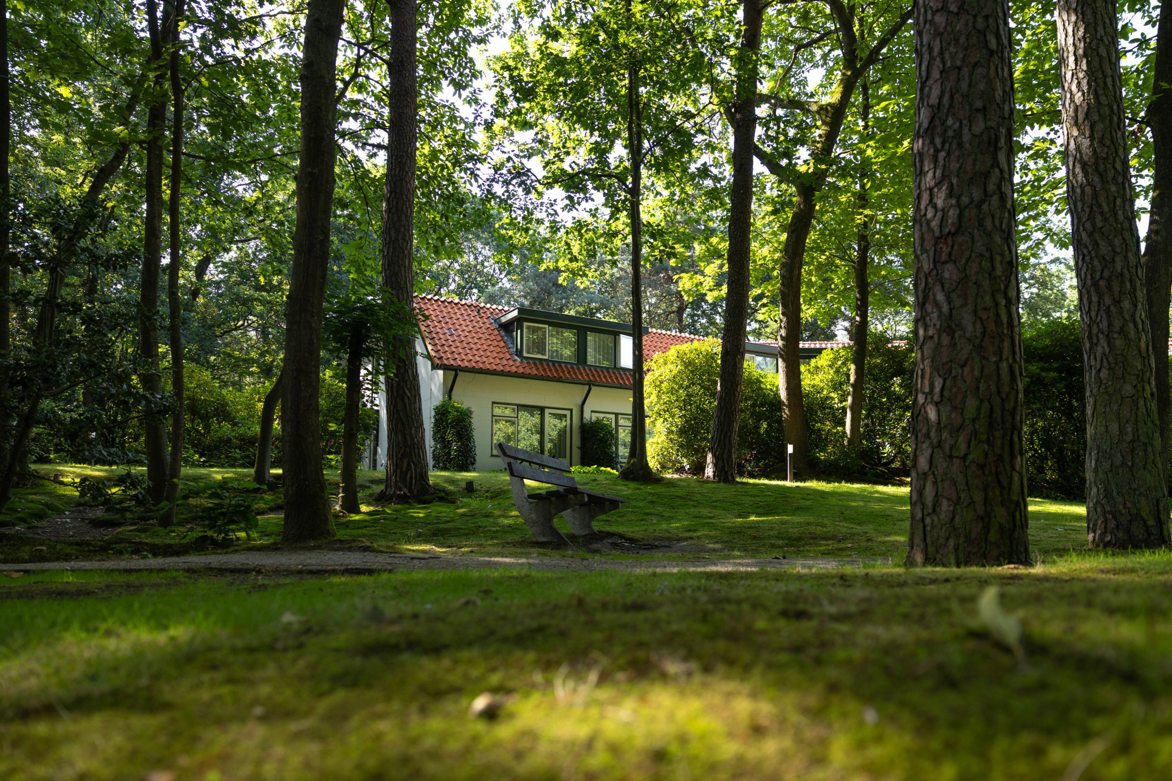 - image: 16