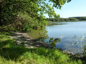 Natuurhuisje in Longchamps Bertogne