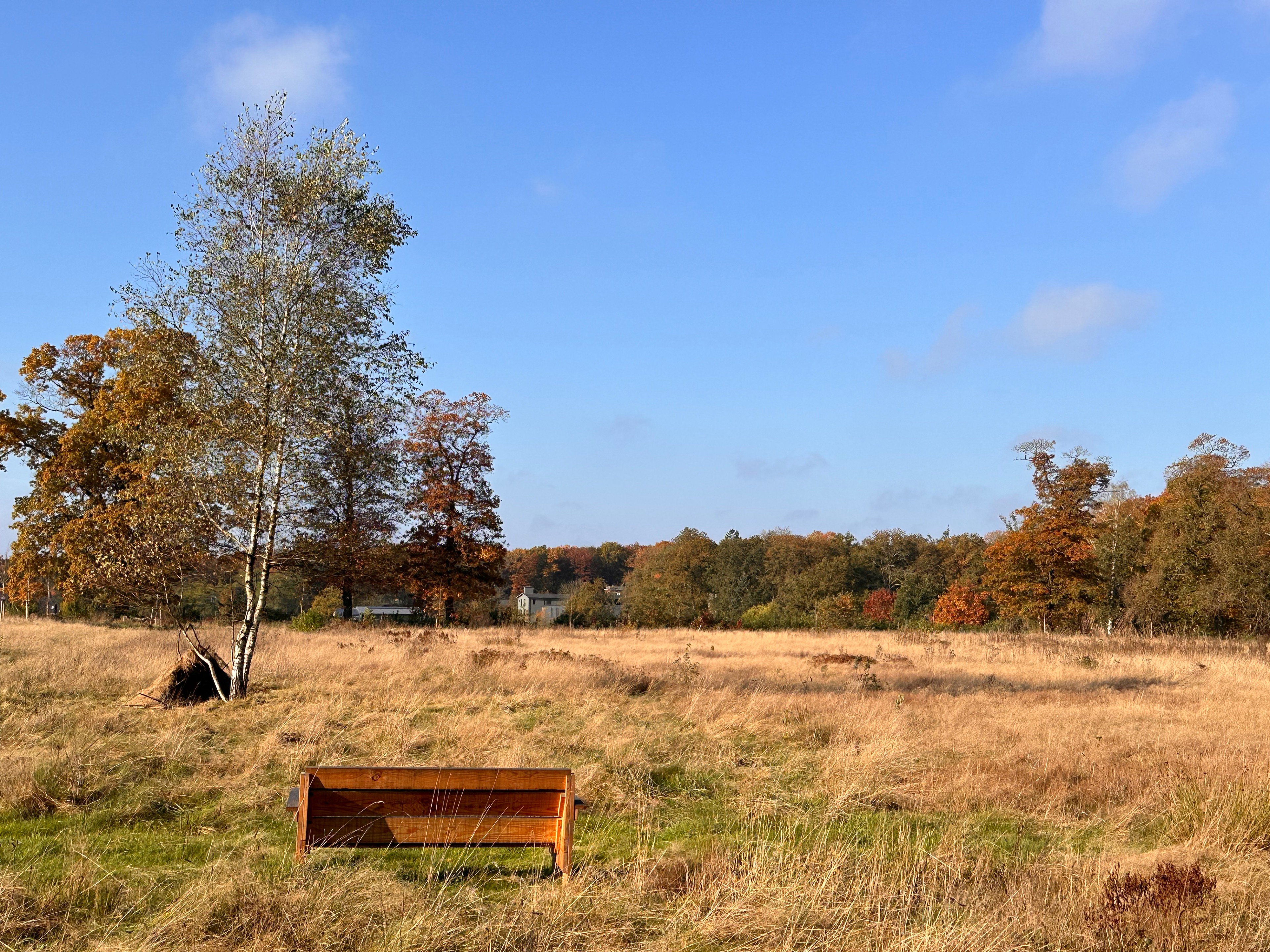 Casa nella natura a Arnhem