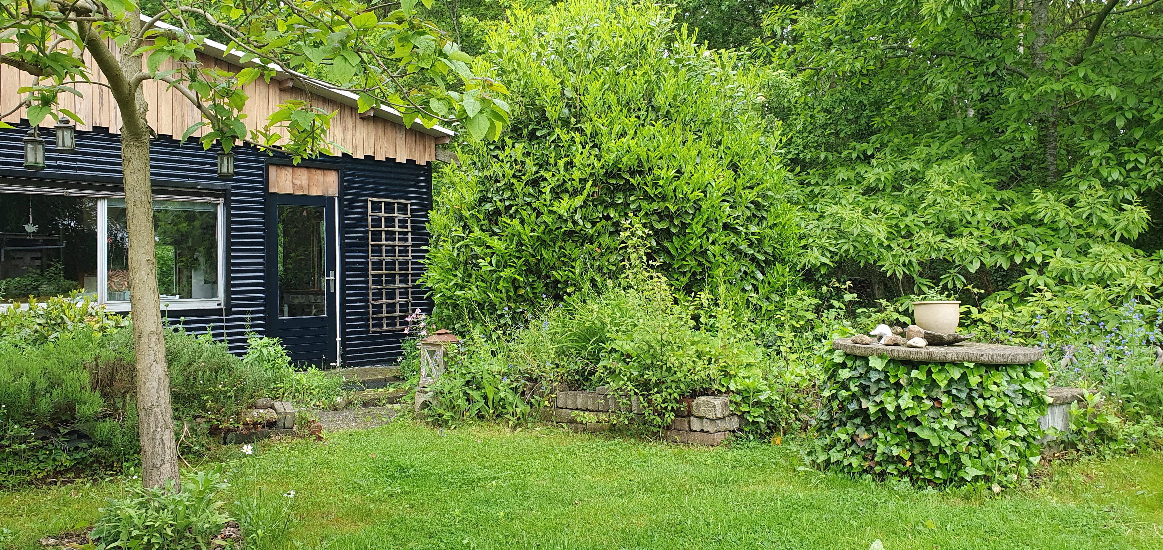 Natuurhuisje in Ruurlo
