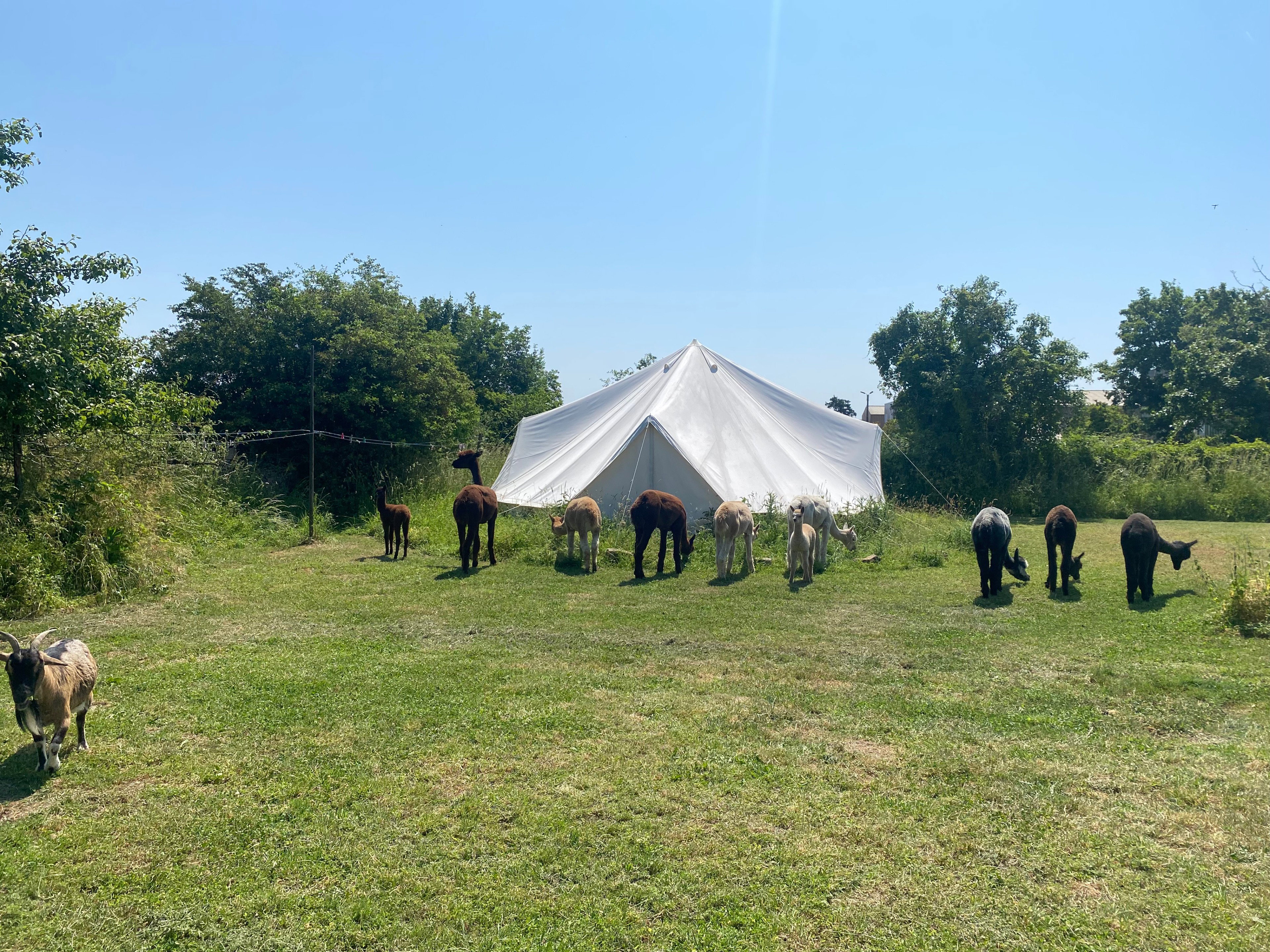 Natuurhuisje in Argentonnay
