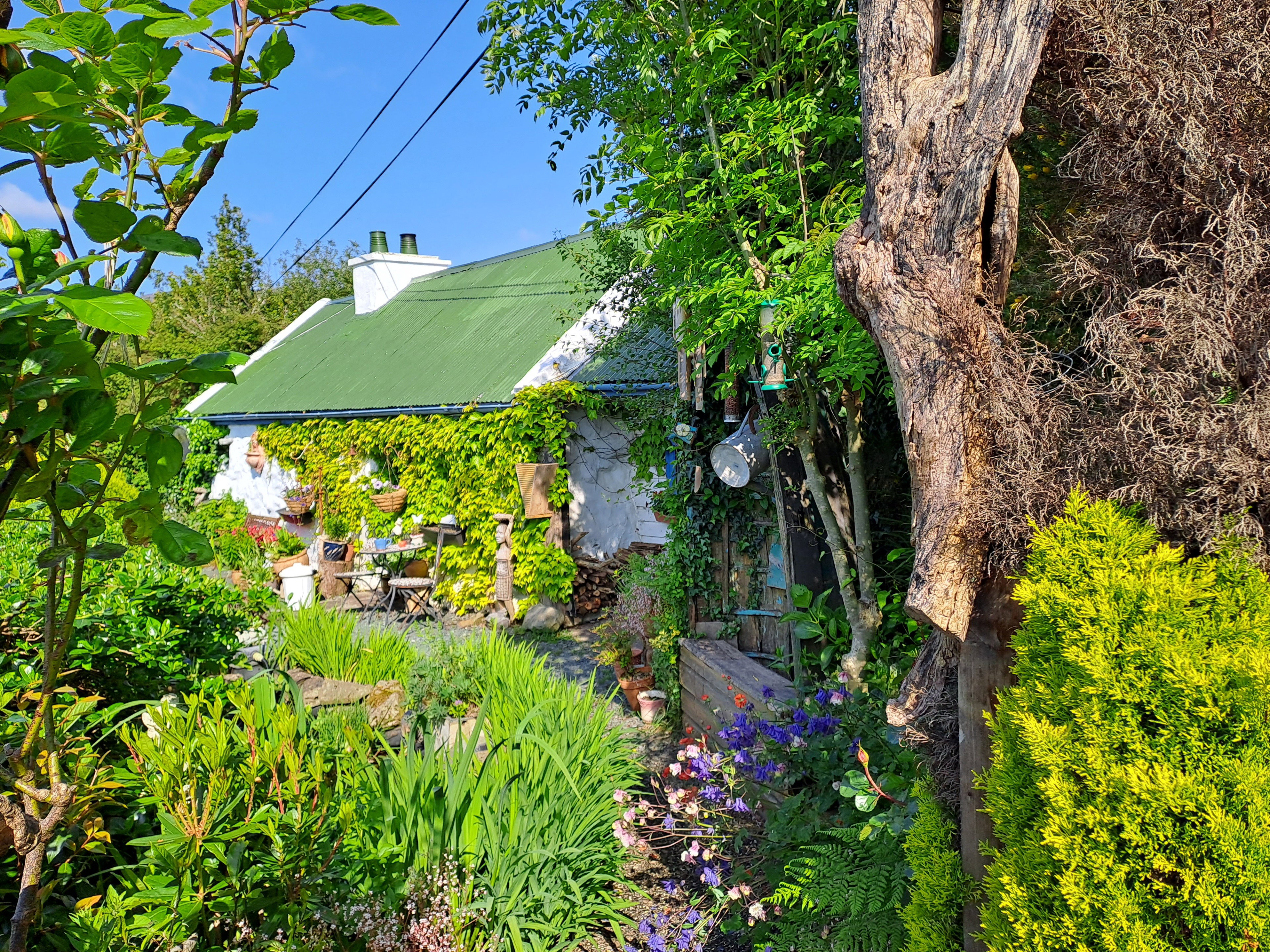 Maison nature à Derrypark Cottage