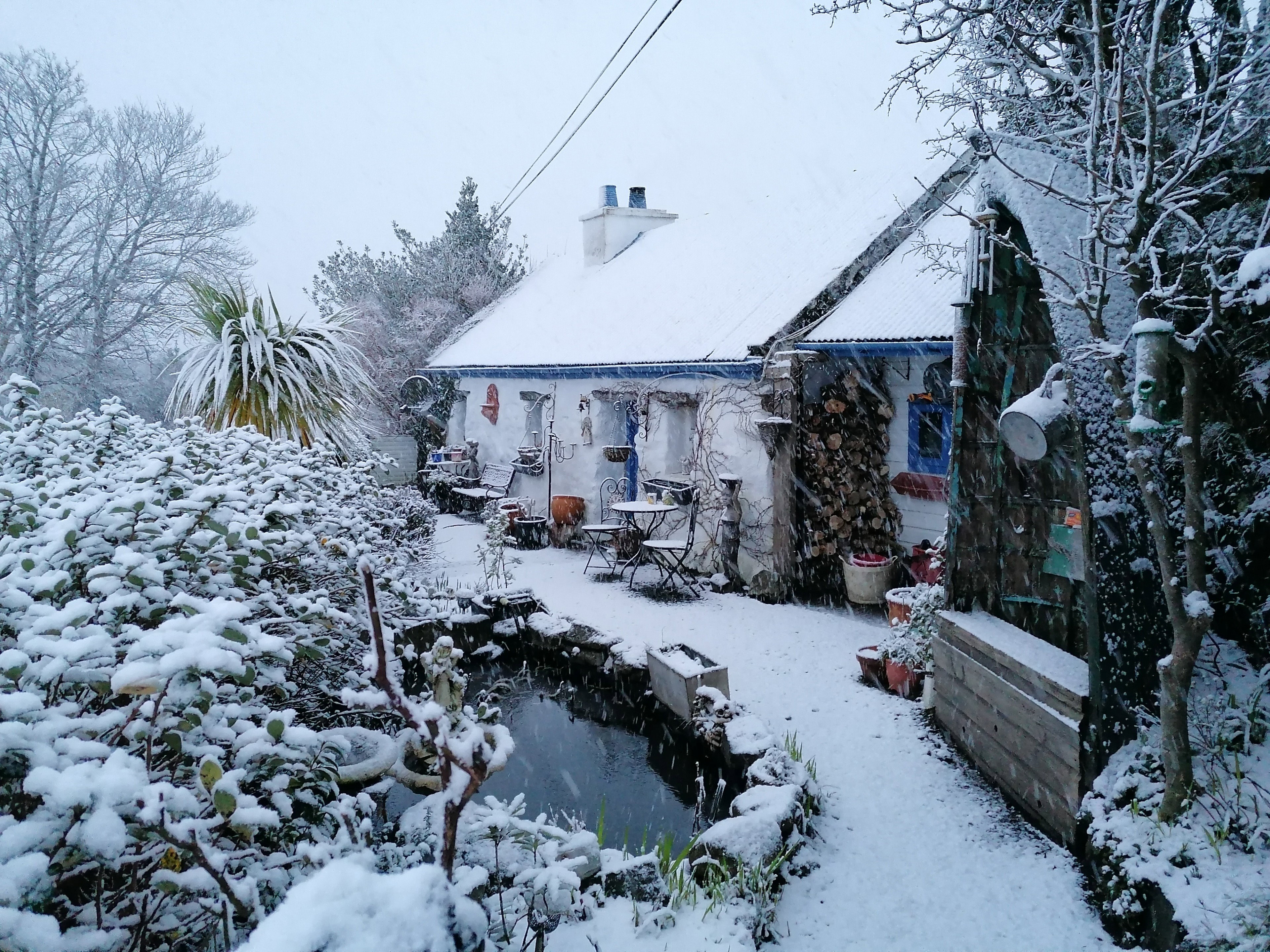 Maison nature à Derrypark Cottage