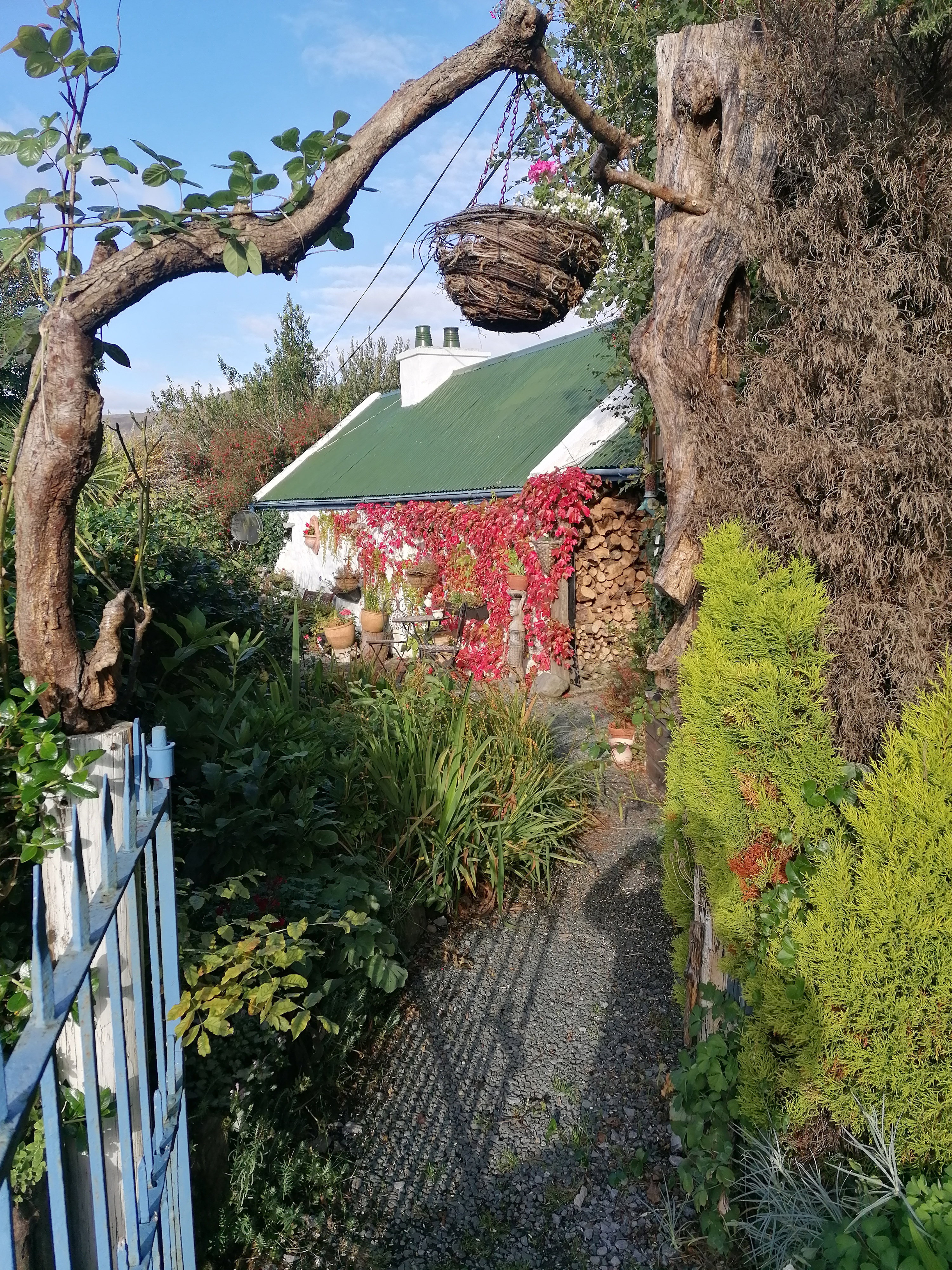 Maison nature à Derrypark Cottage