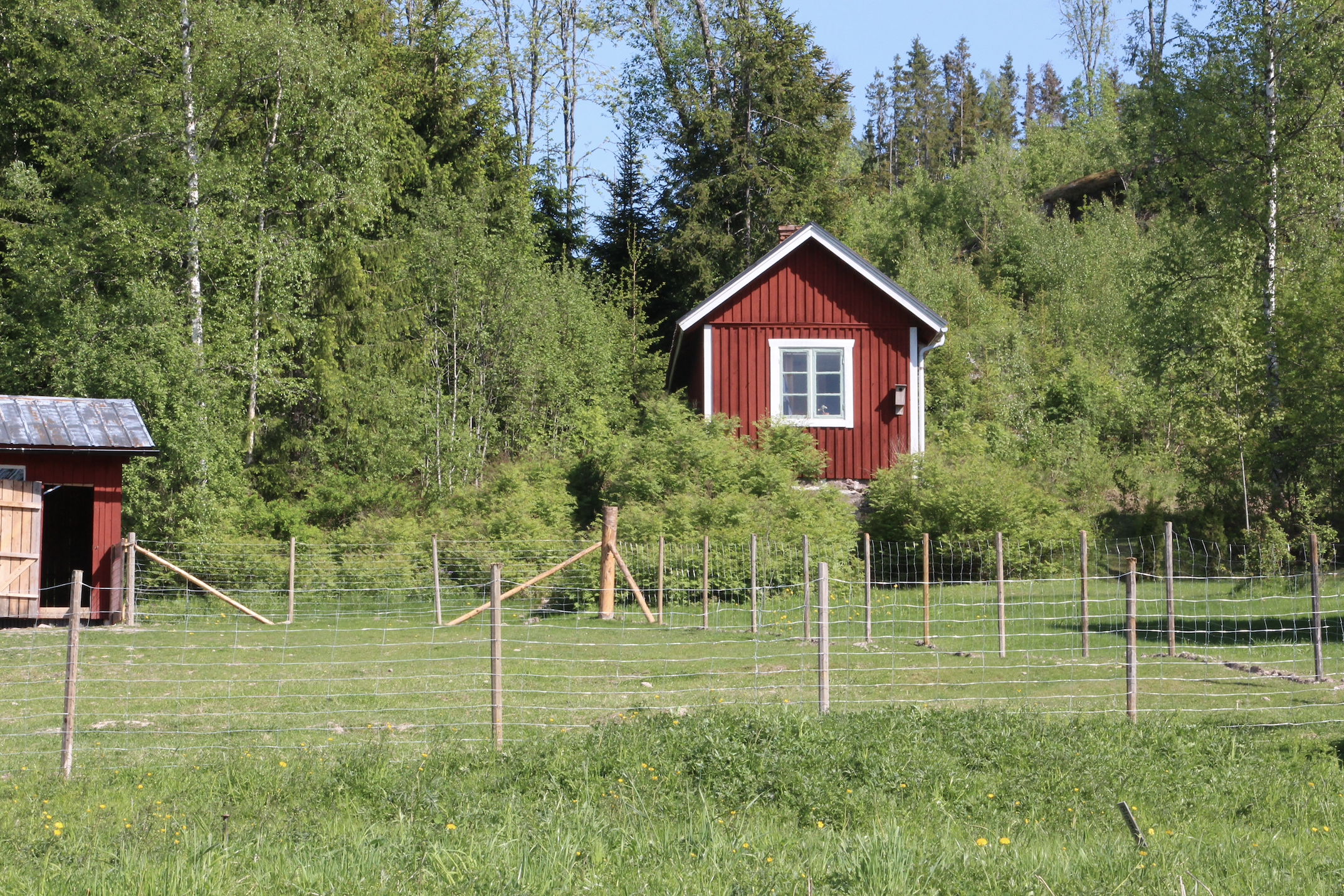 Natuurhuisje in Östra Ämtervik