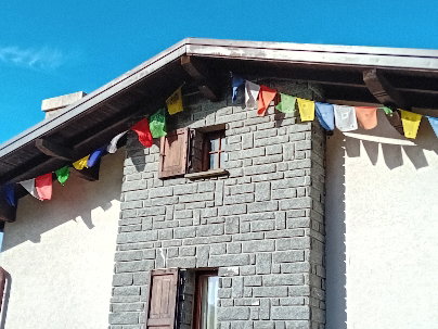 - image: 12