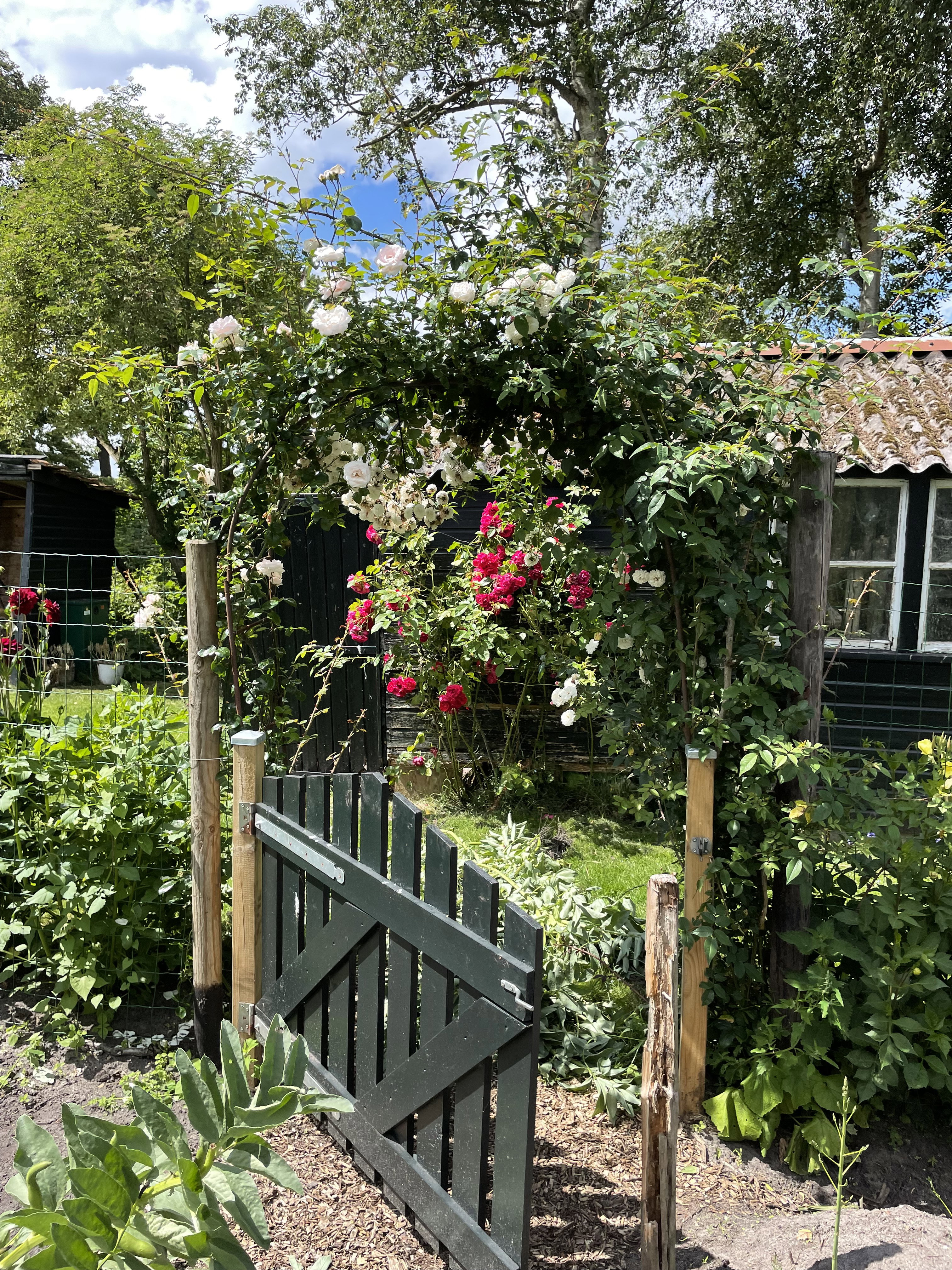 Casa nella natura a Boornbergum