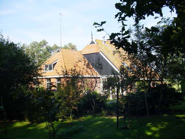 - image: 24