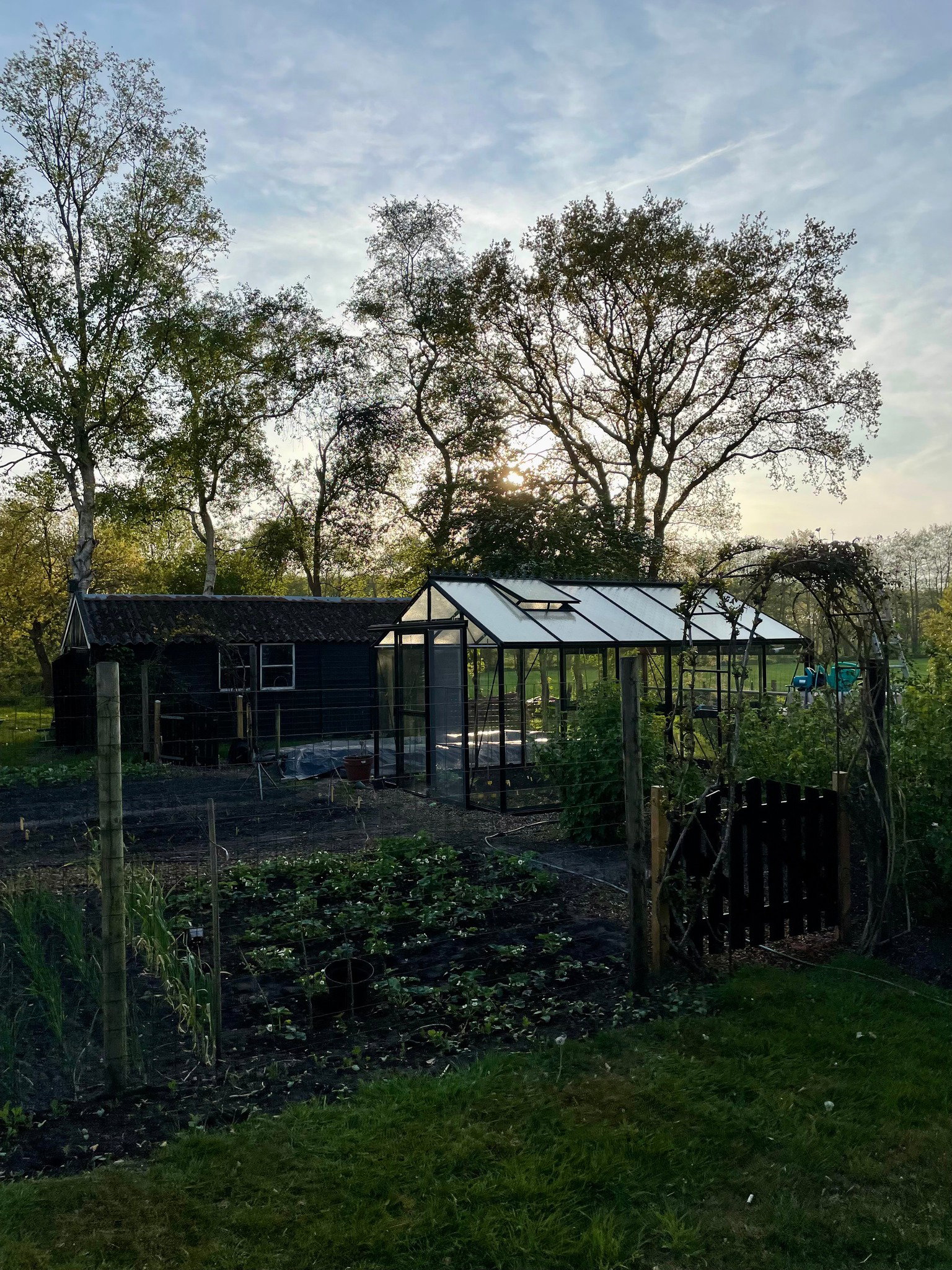 Casa nella natura a Boornbergum