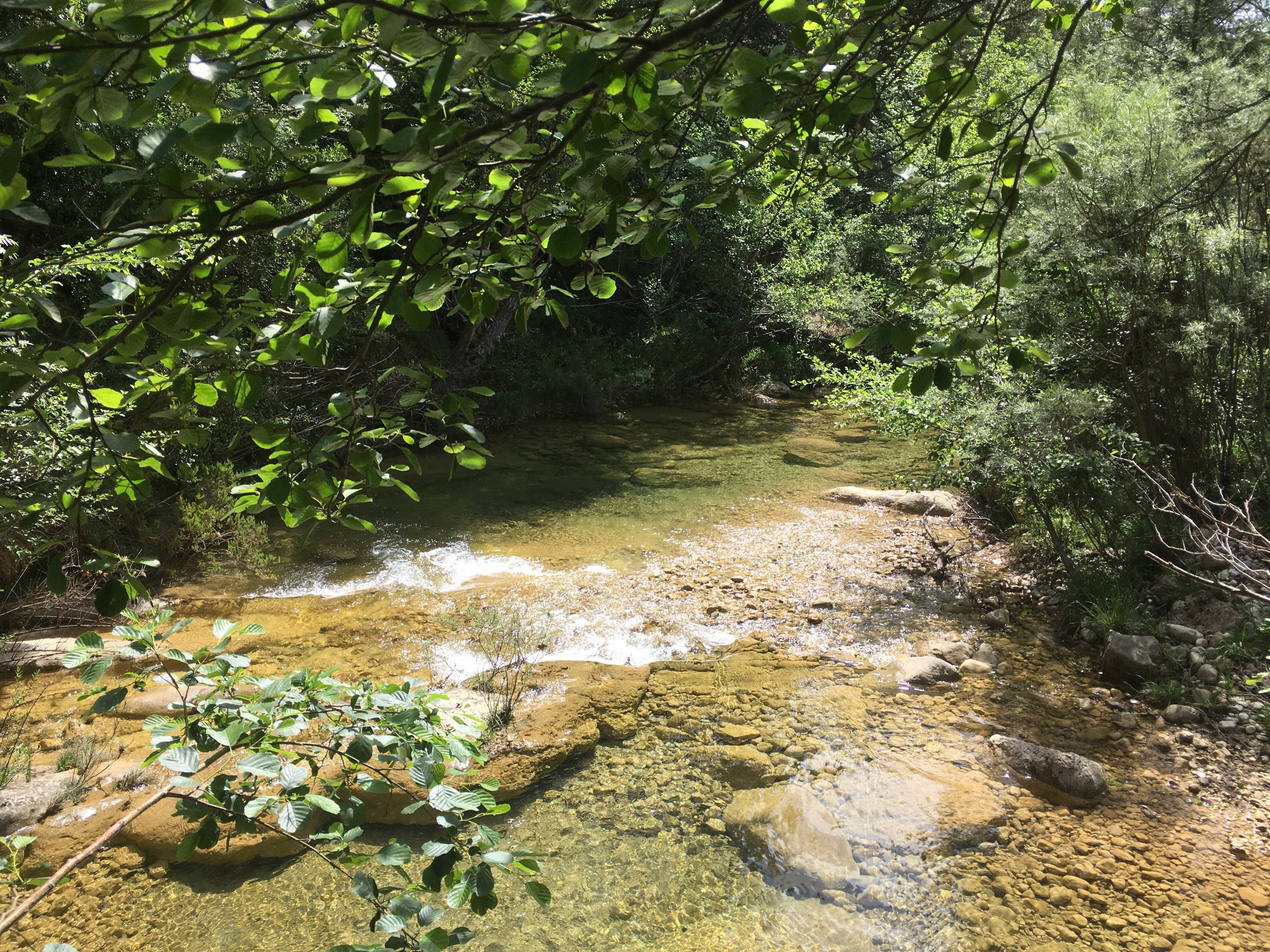 Natuurhuisje in Lladó