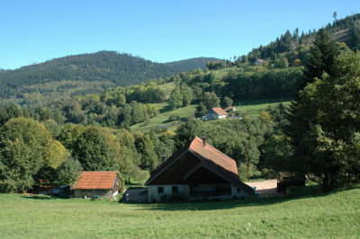 Maison nature à Plainfaing