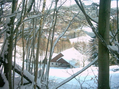 - image: 21
