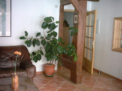 - image: 18