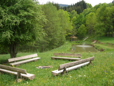 Maison nature à Plainfaing