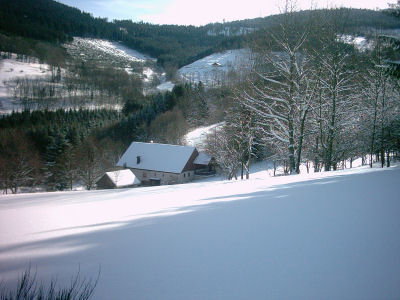 - image: 20