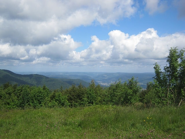 Maison nature à GERBEPAL