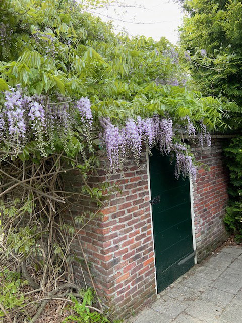 - image: 27