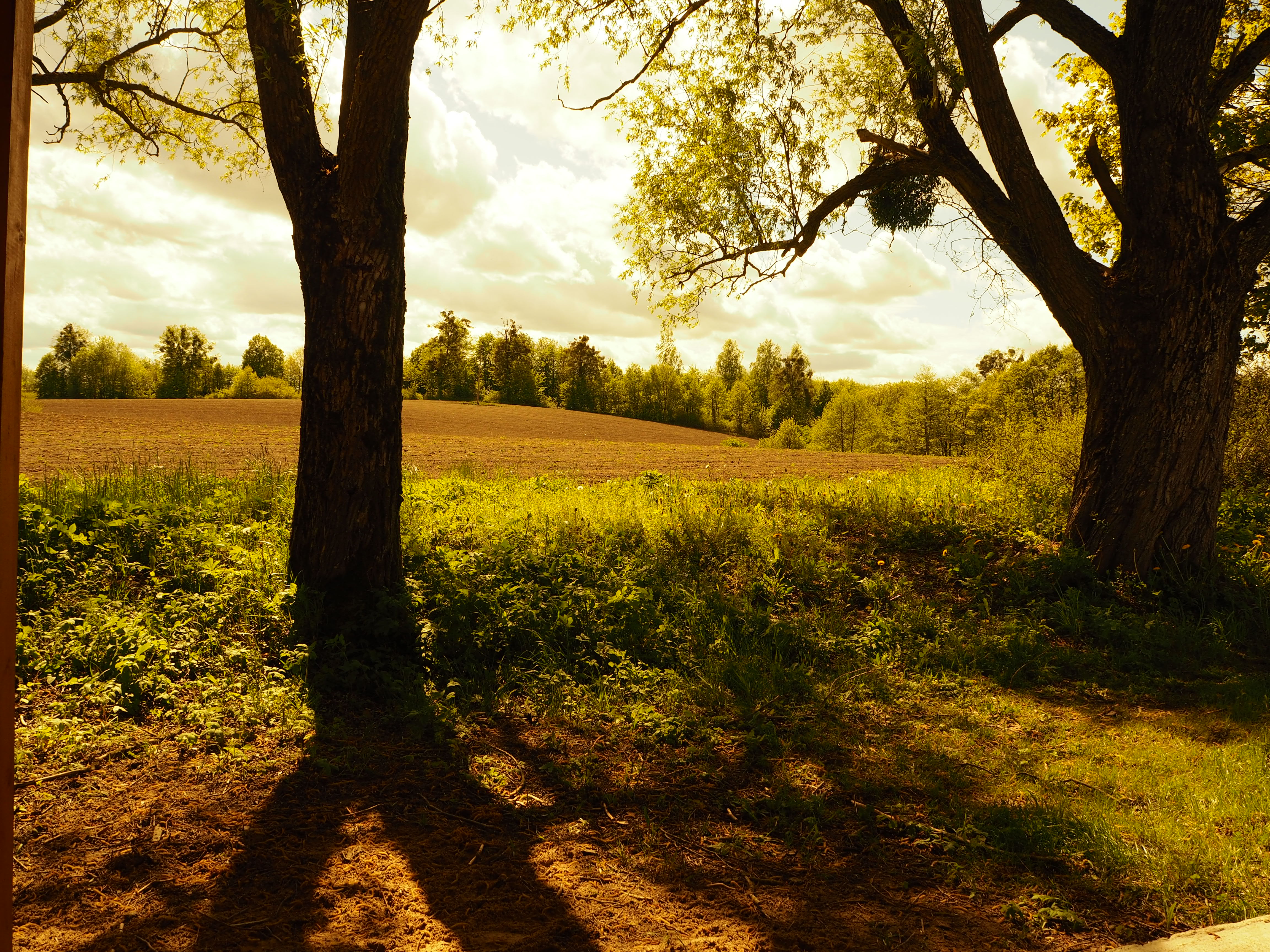 - image: 11