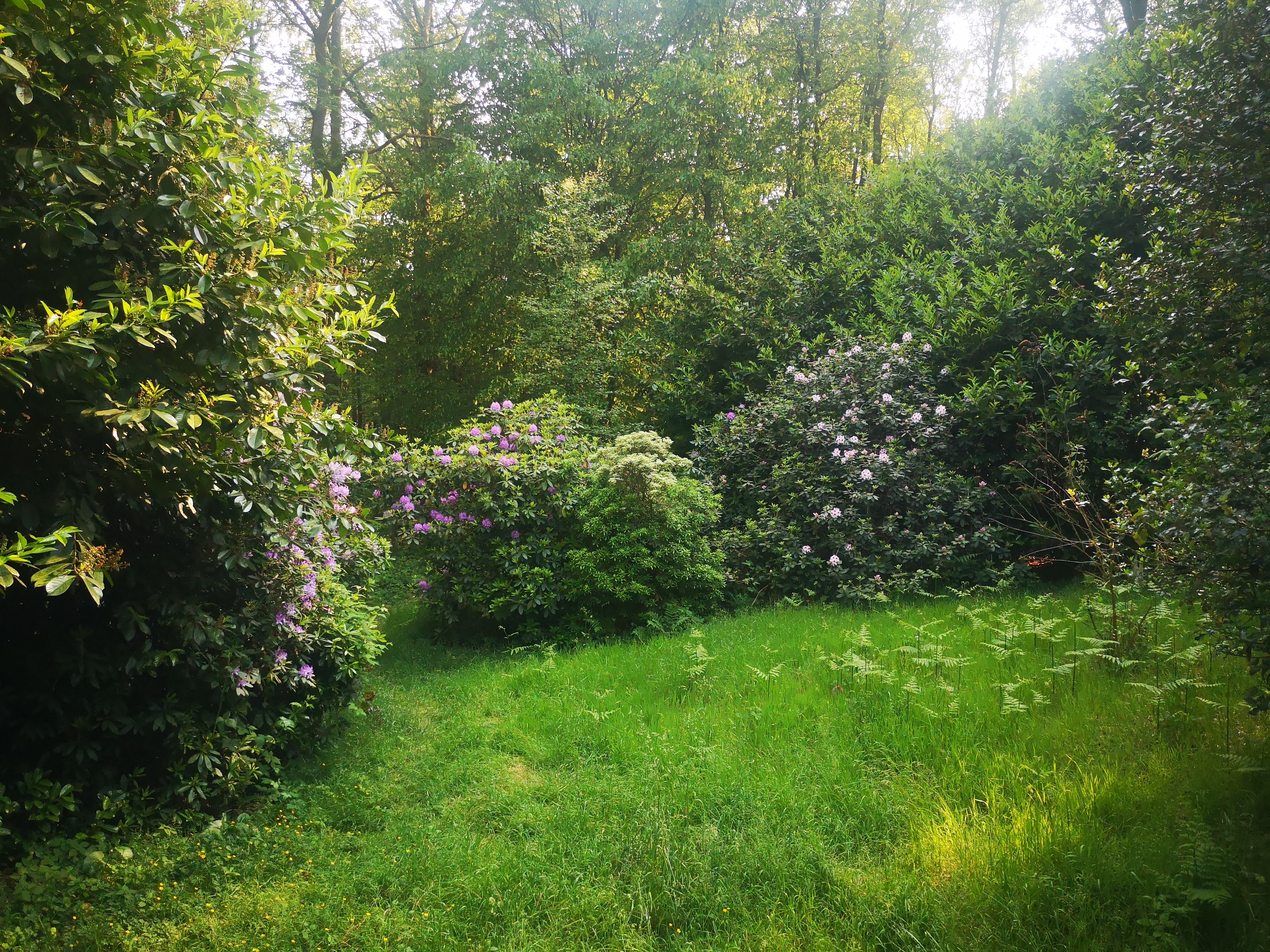 Naturhäuschen in Oignies en Thiérache