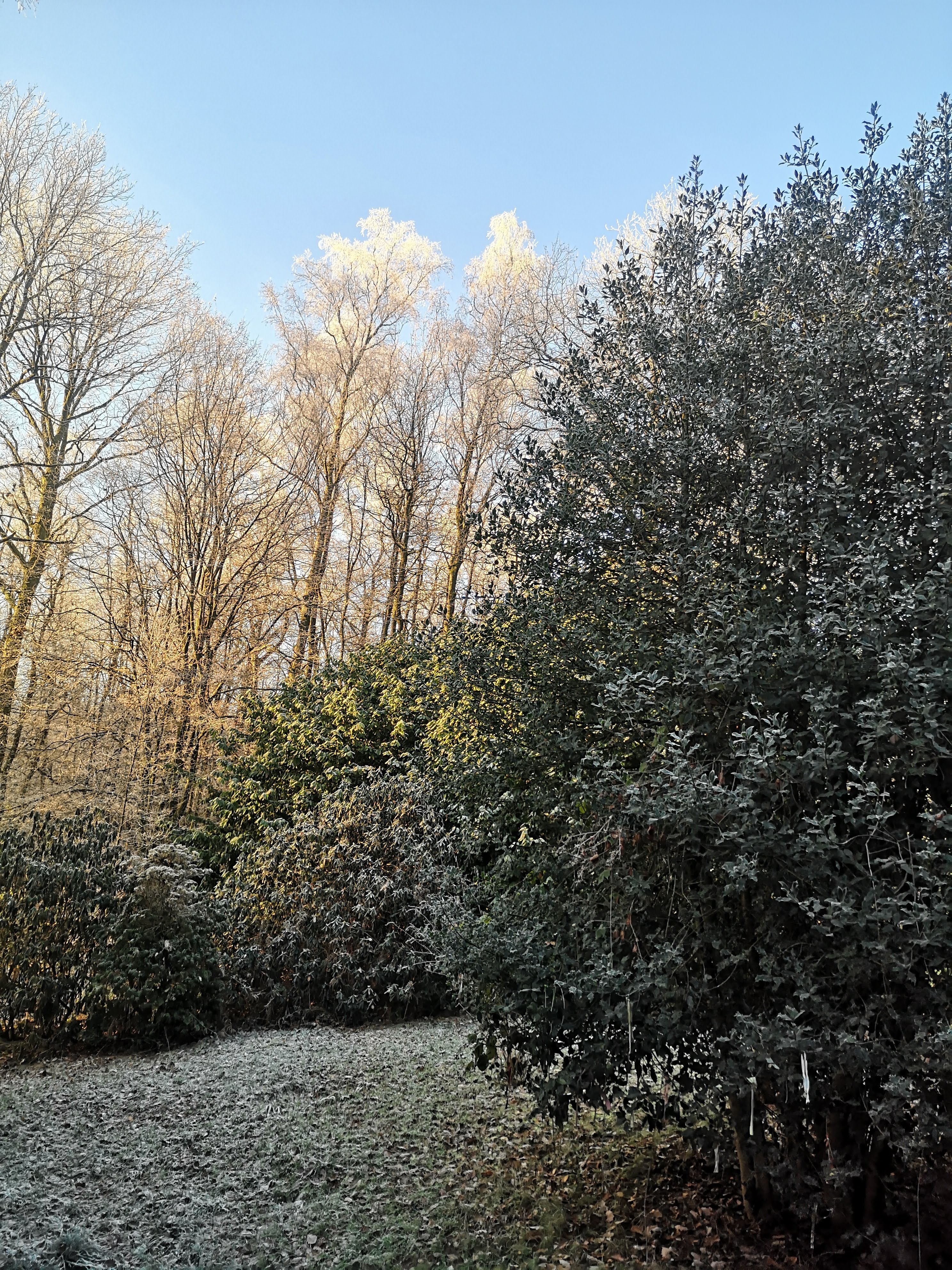 Naturhäuschen in Oignies en Thiérache