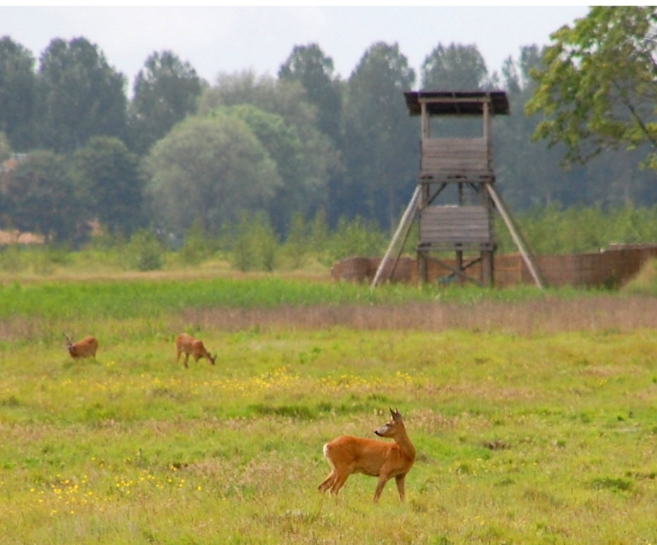 Naturhäuschen in Wieringerwerf