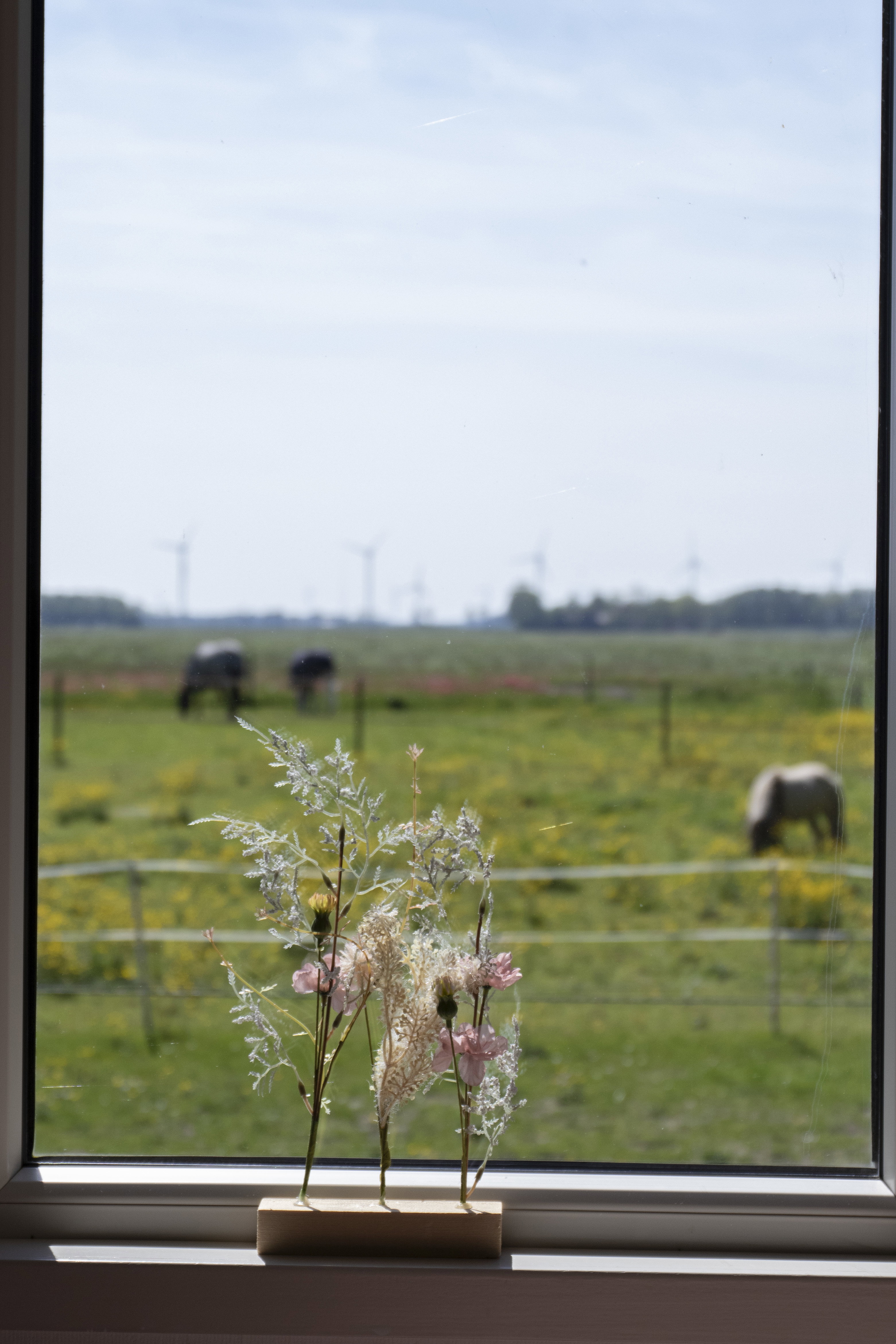 Naturhäuschen in Wieringerwerf