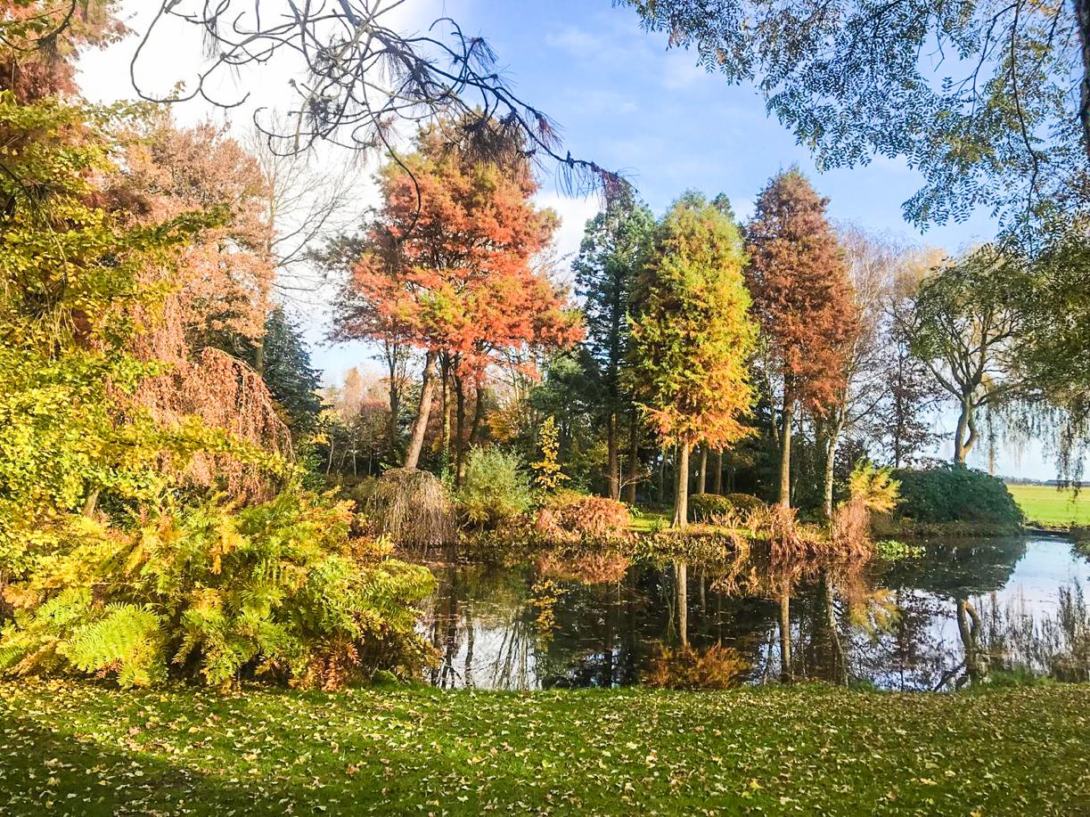 Naturhäuschen in Hobrede