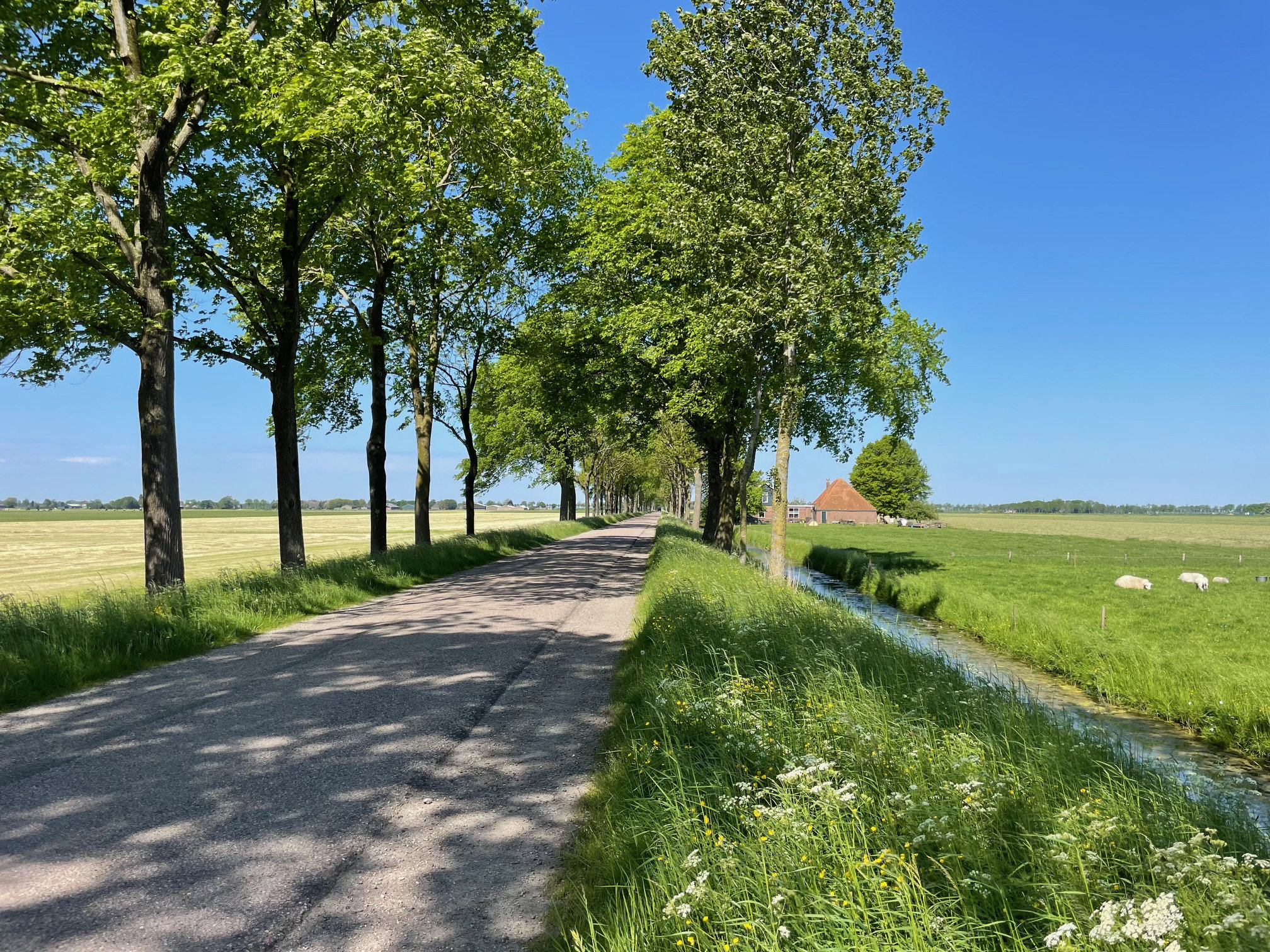 - image: 25