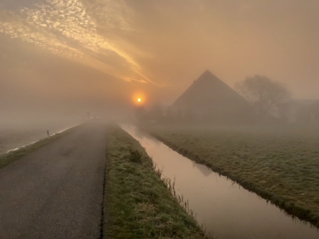 - image: 19