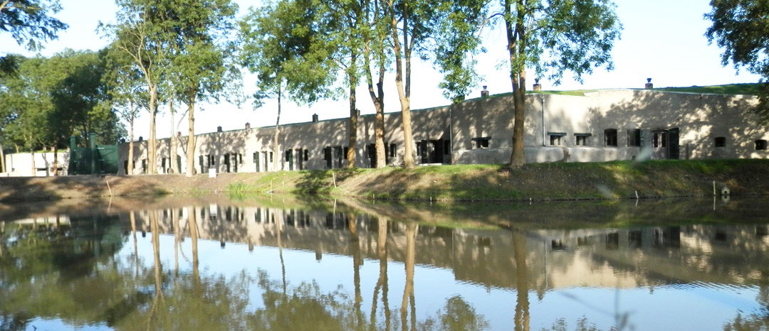 - image: 16