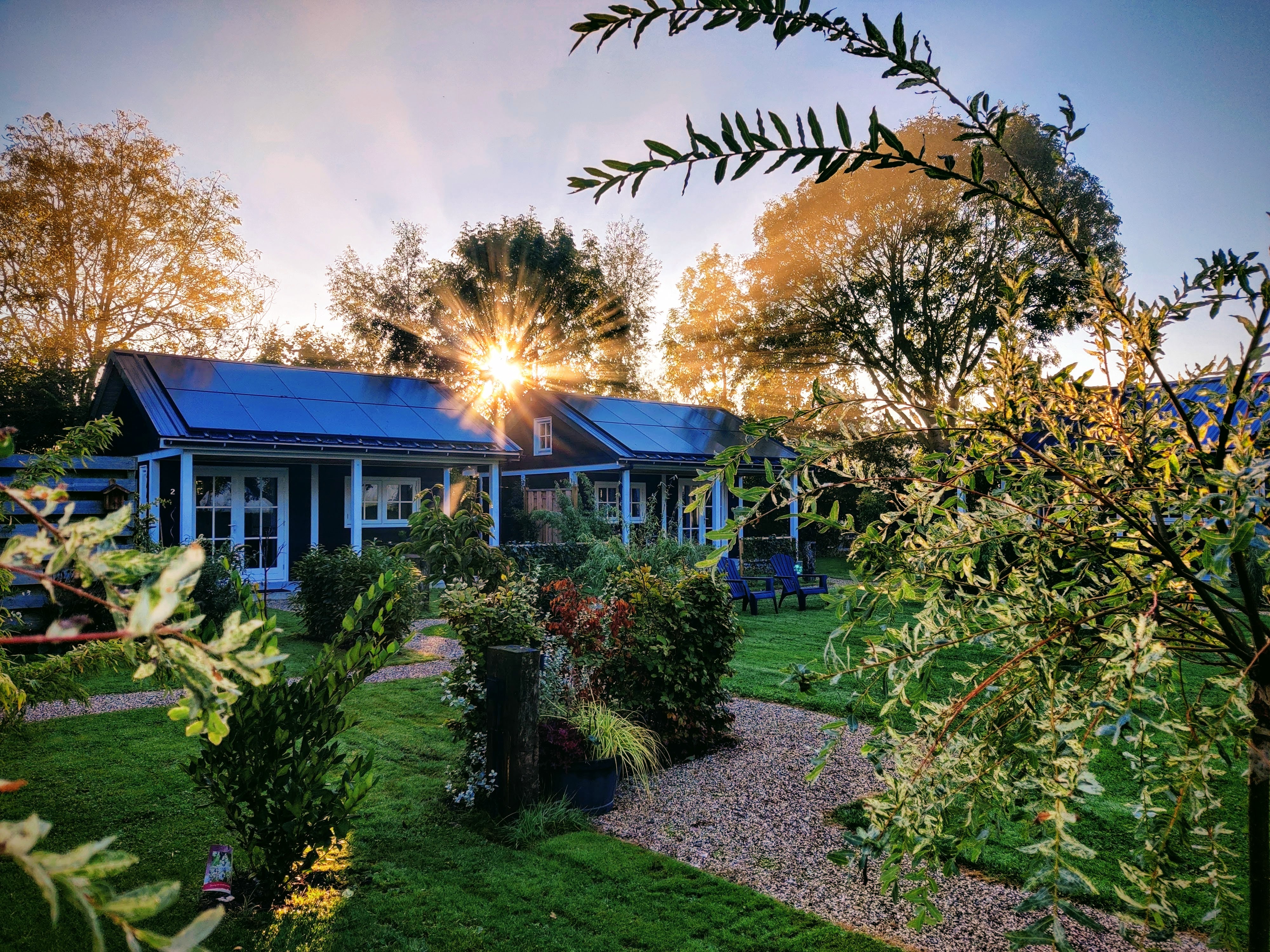Maison nature à Nieuwveen