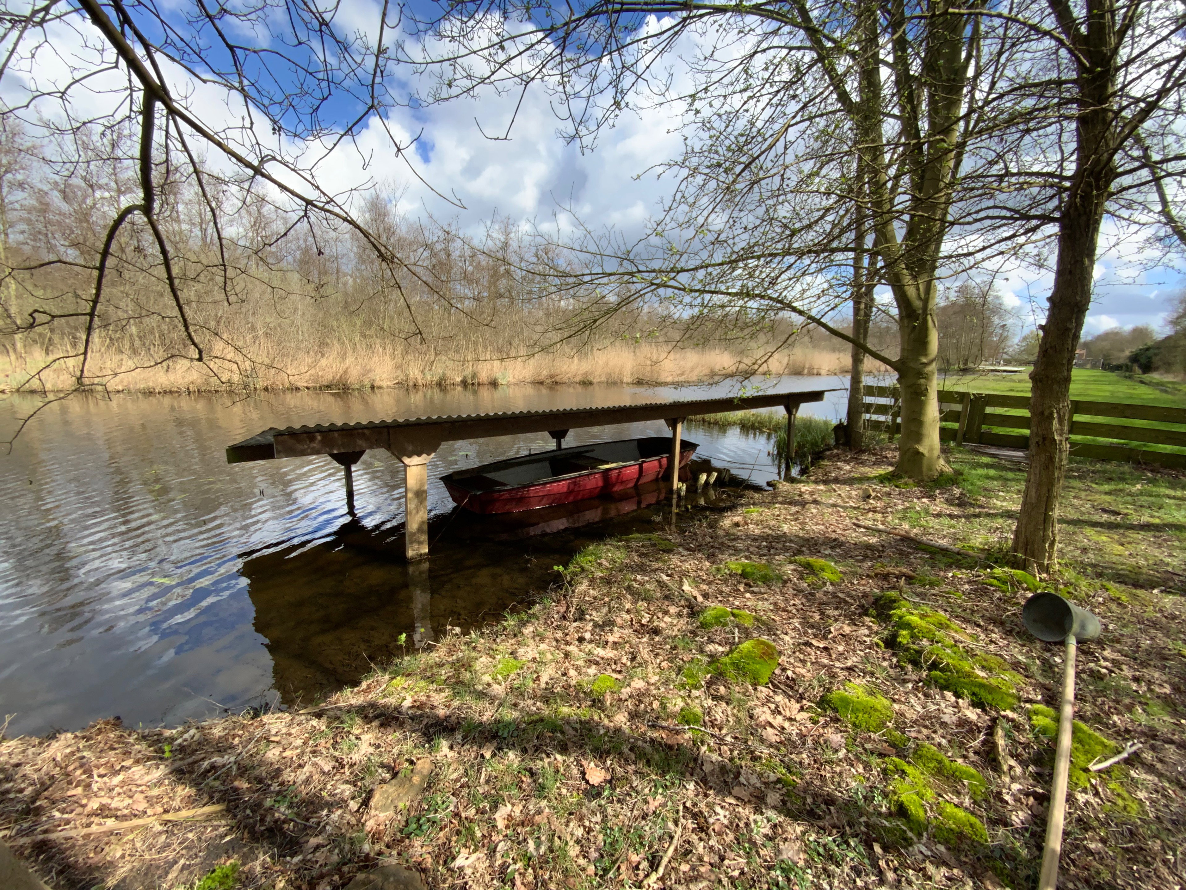 - image: 11