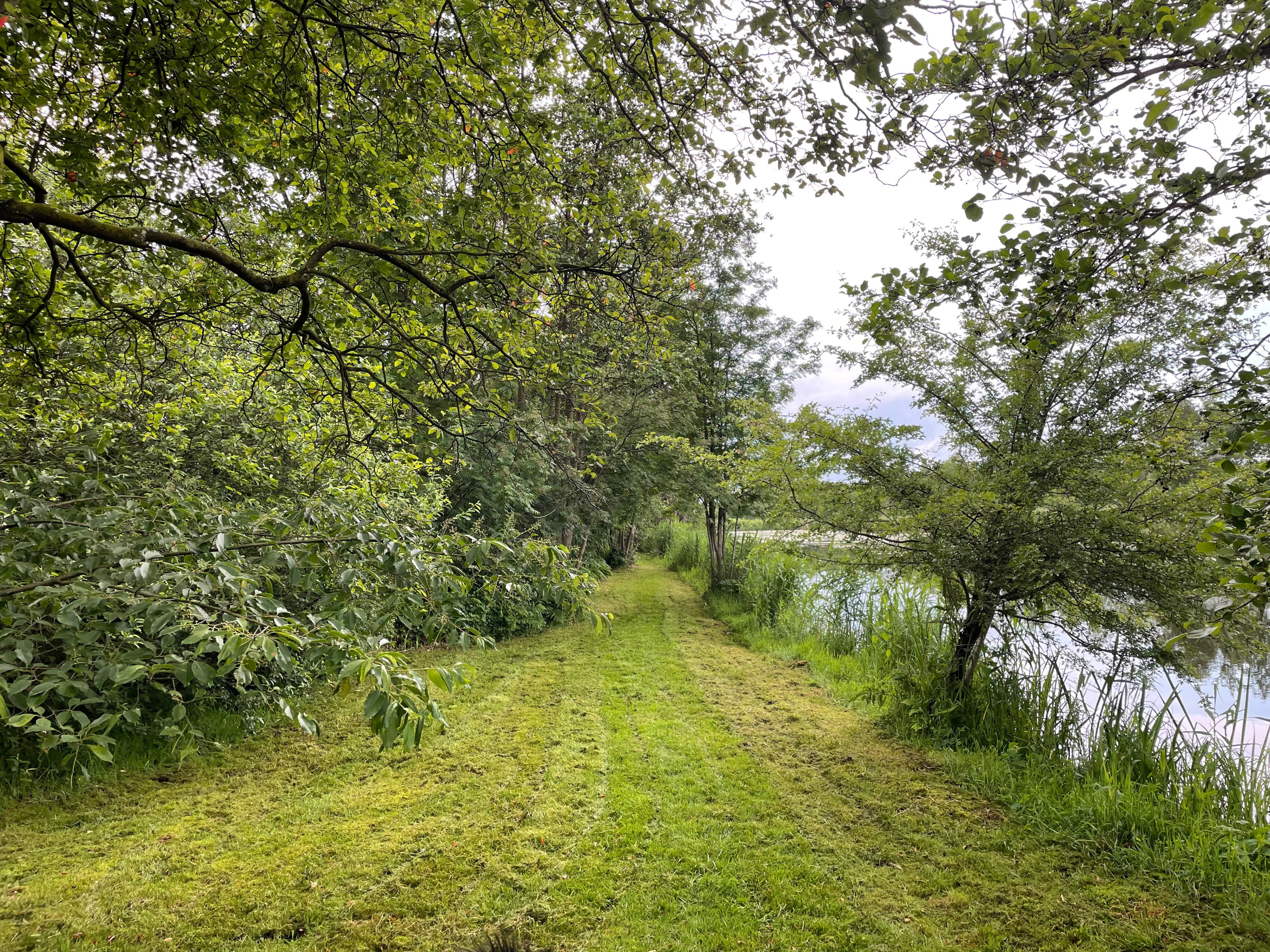 Casa nella natura a Ankeveen
