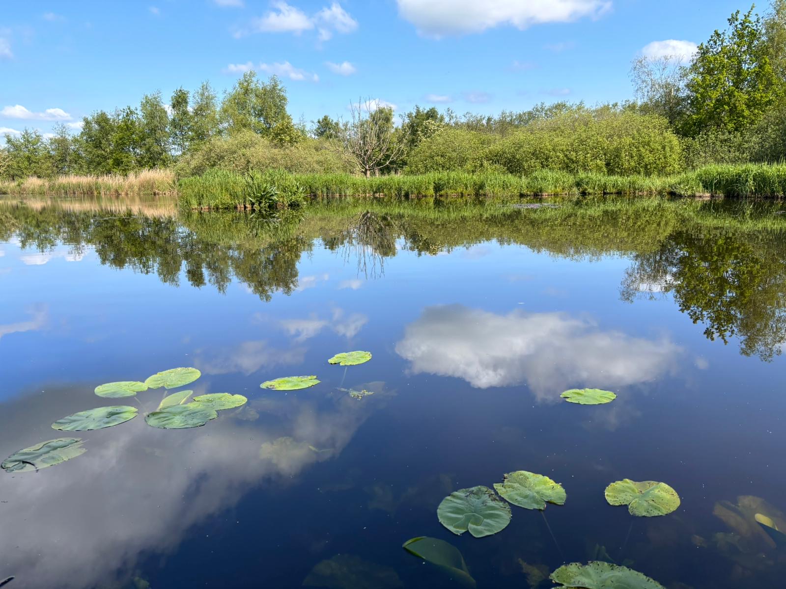 Casa nella natura a Ankeveen