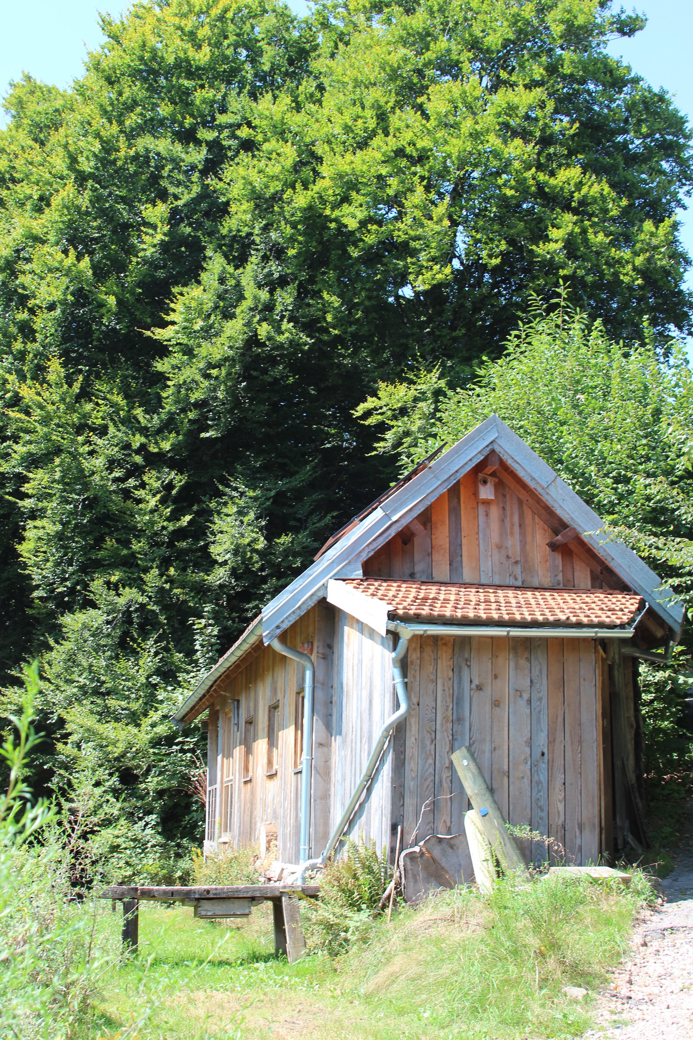 Natuurhuisje in Le Val d'Ajol