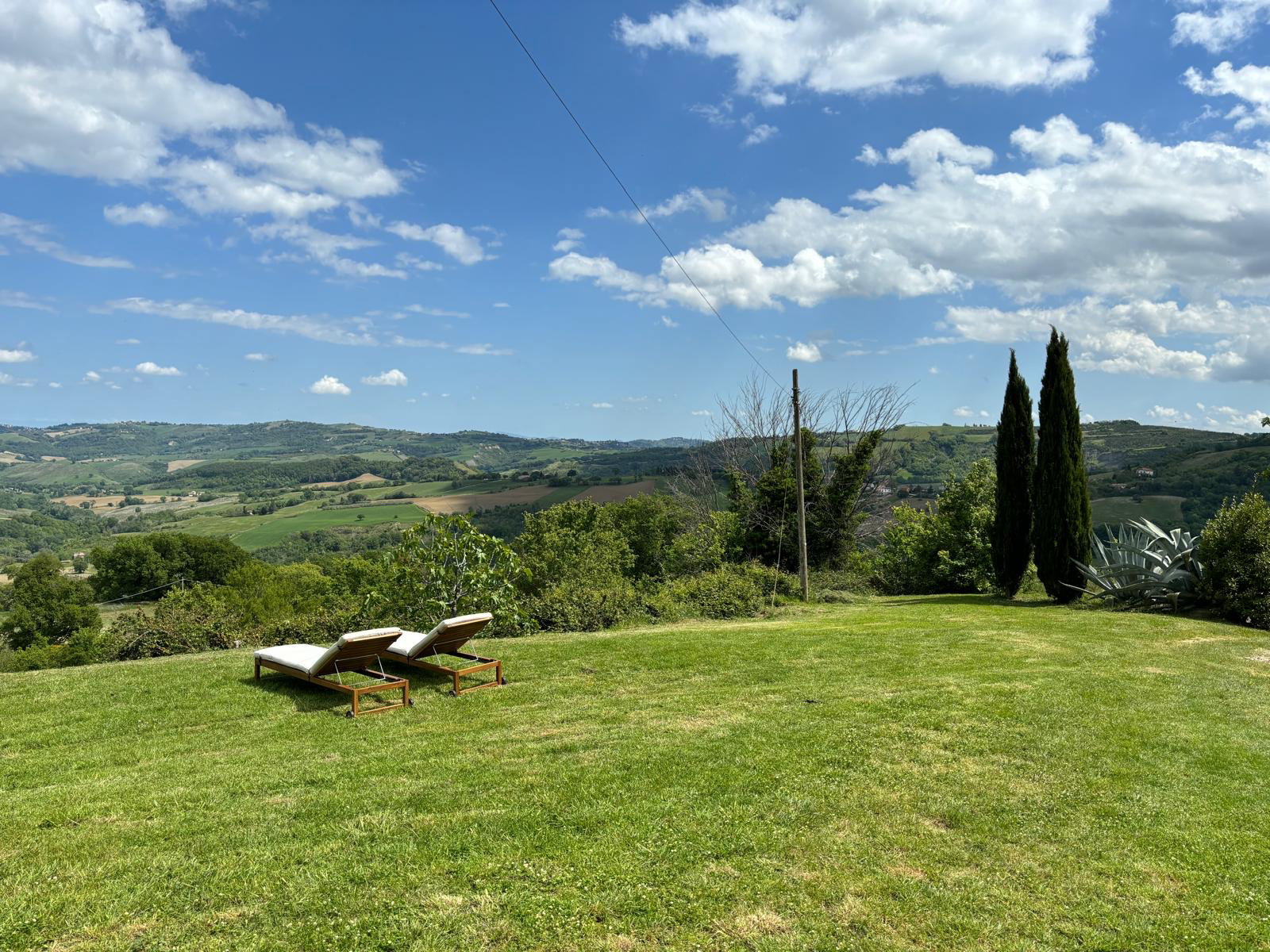 - image: 13