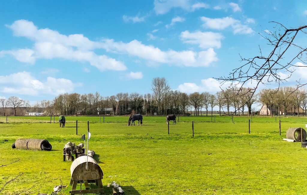 Naturhäuschen in Oosterwolde