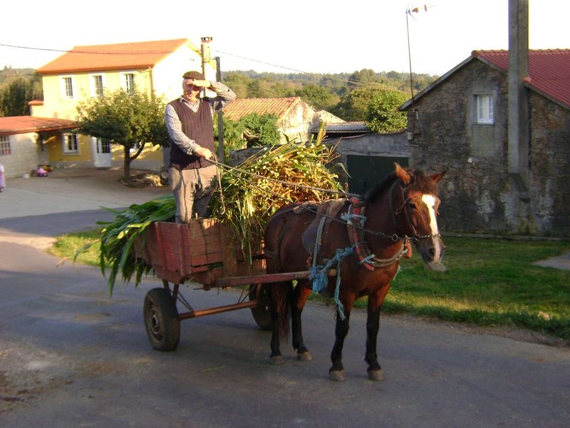 - image: 23