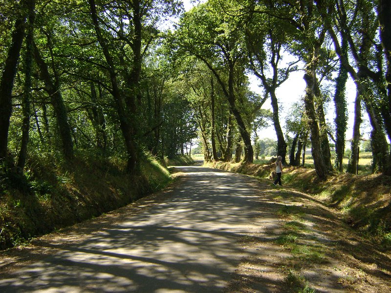 - image: 24