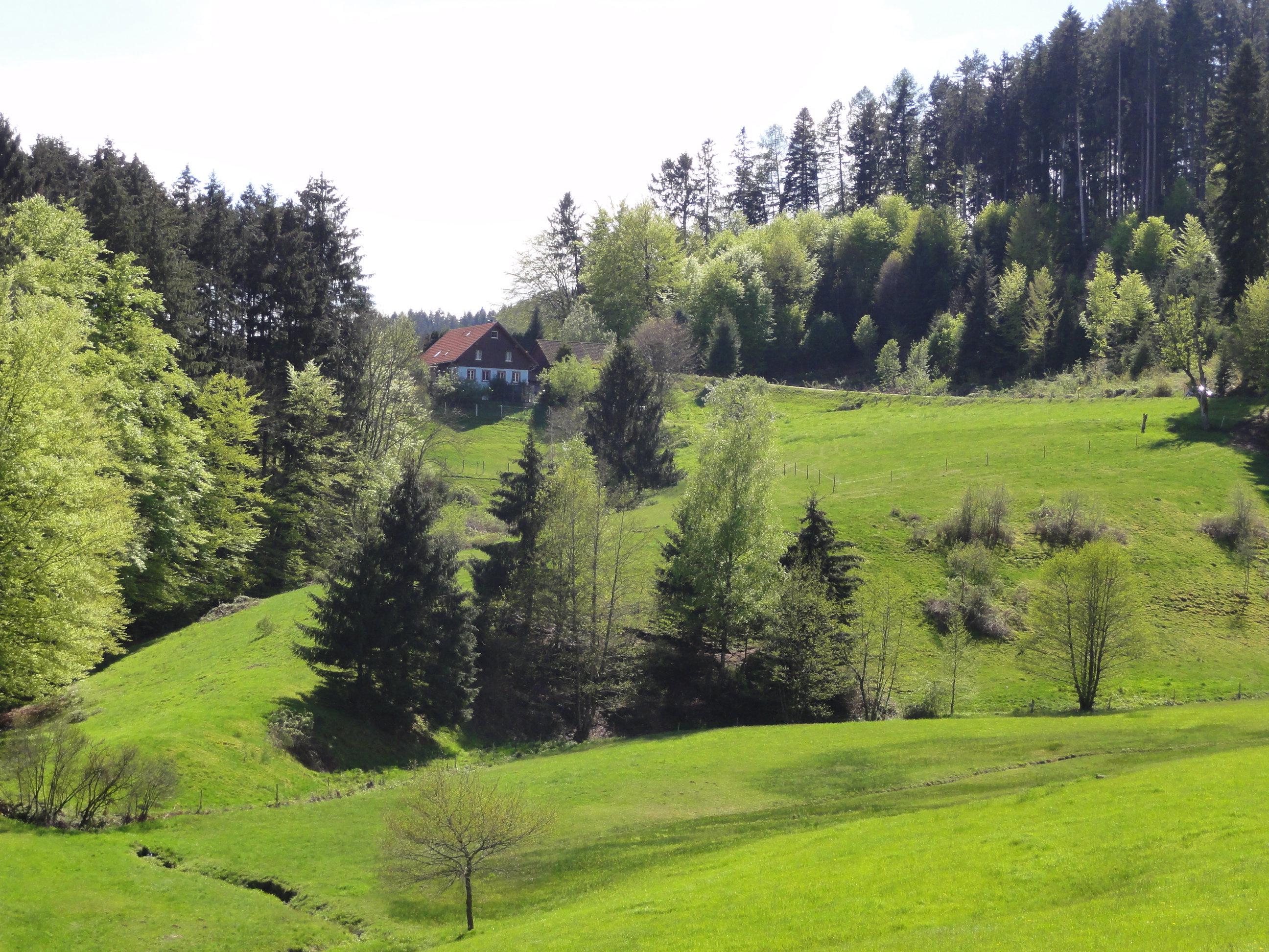 Naturhäuschen in Biederbach