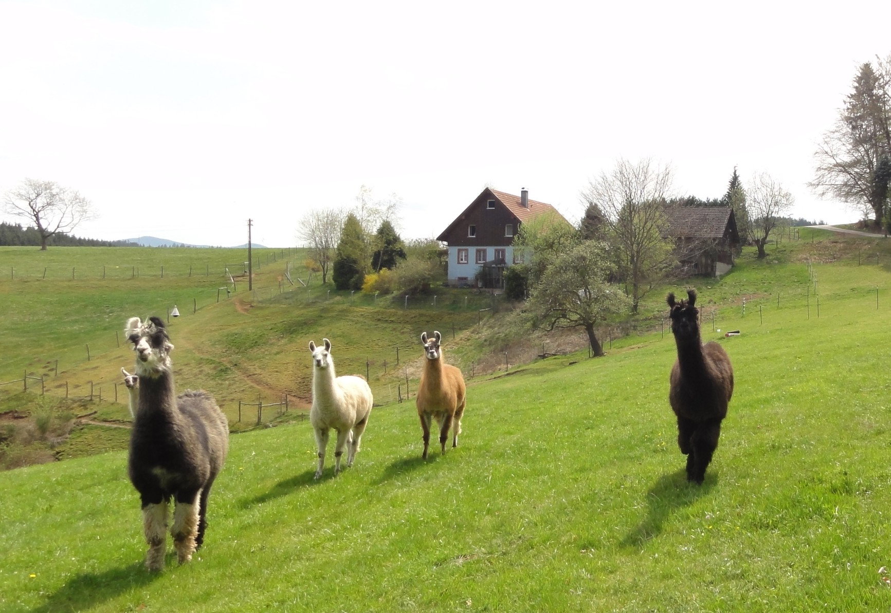 Naturhäuschen in Biederbach