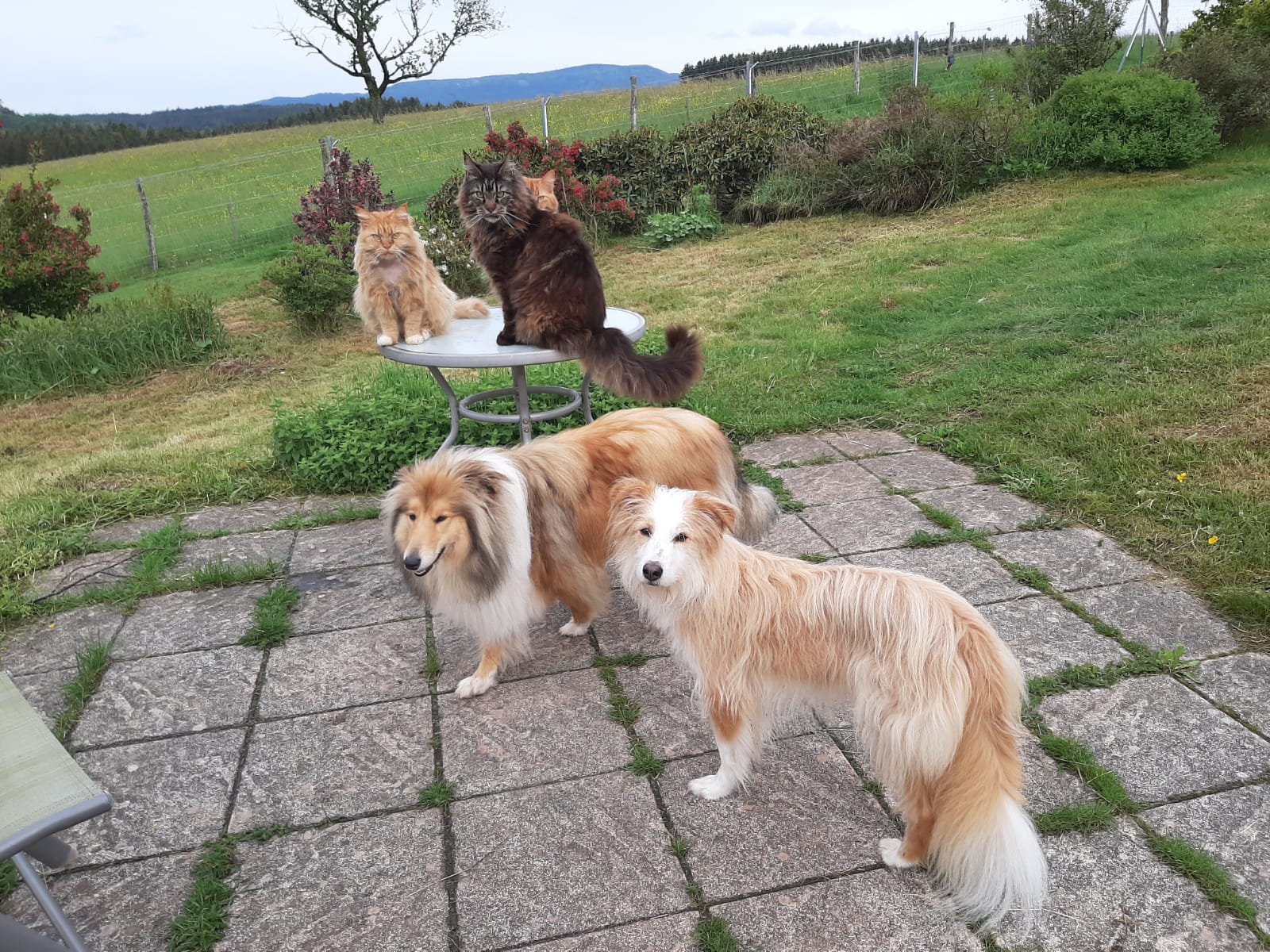 Naturhäuschen in Biederbach