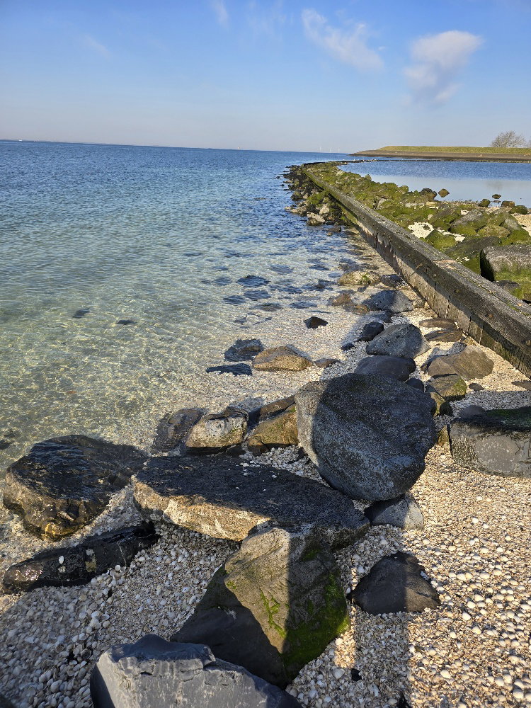 - image: 45