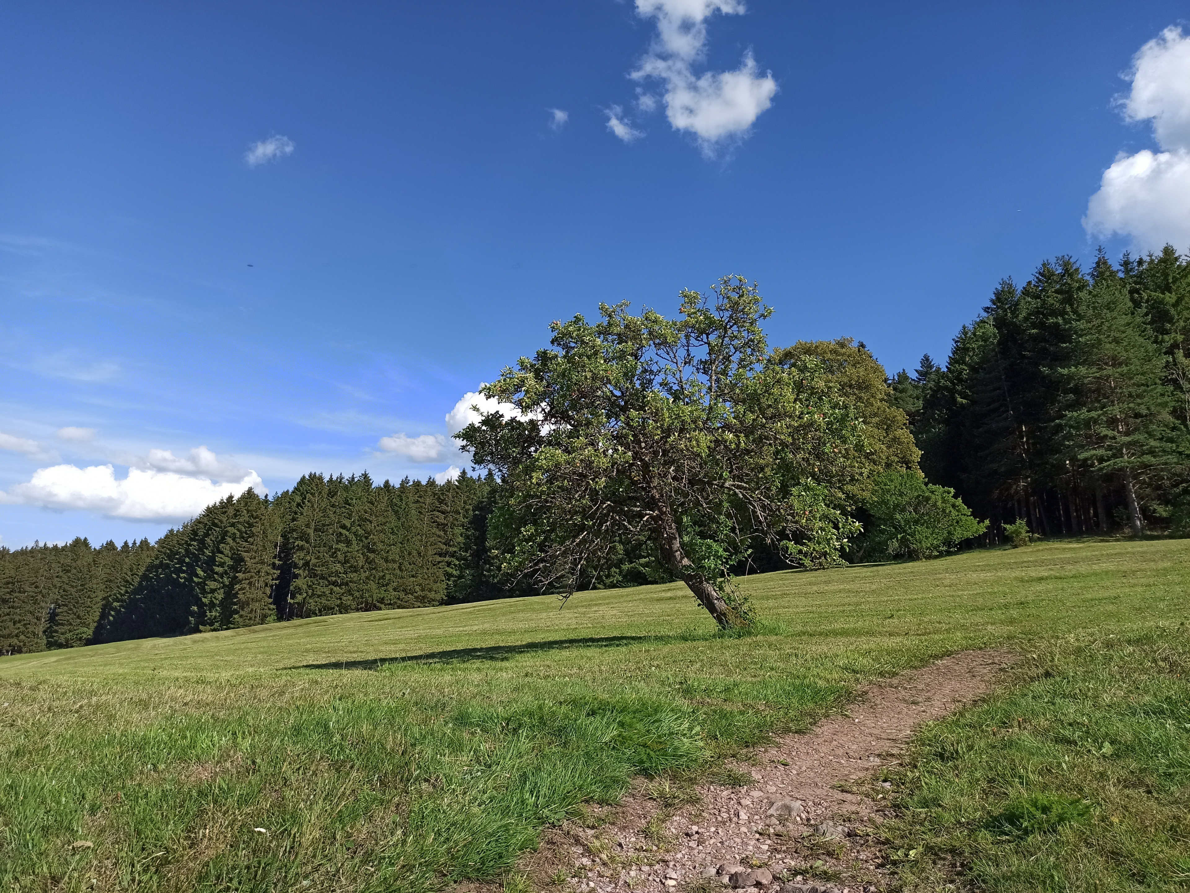 - image: 26
