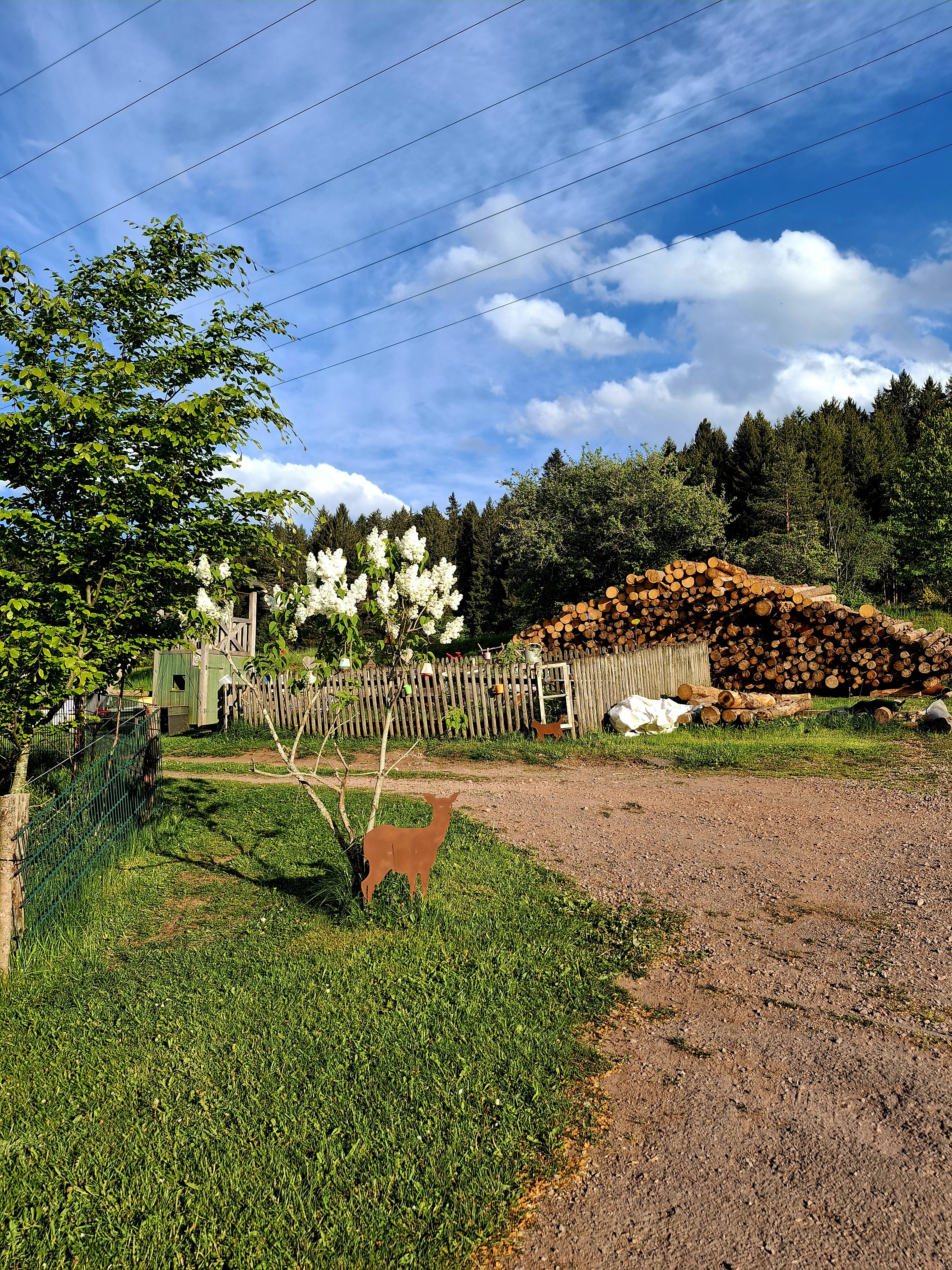 - image: 50