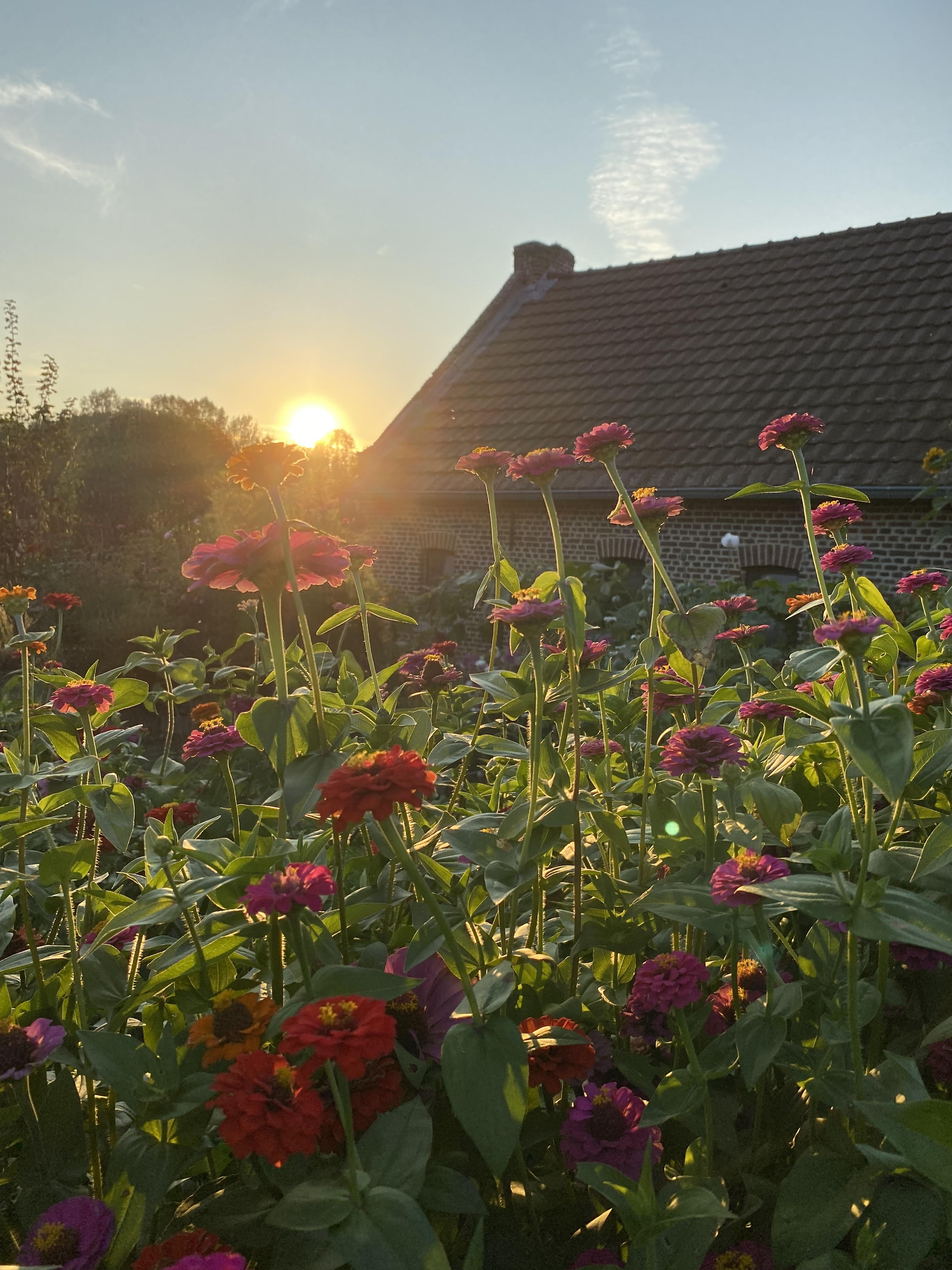 Maison nature à Heks - Heers