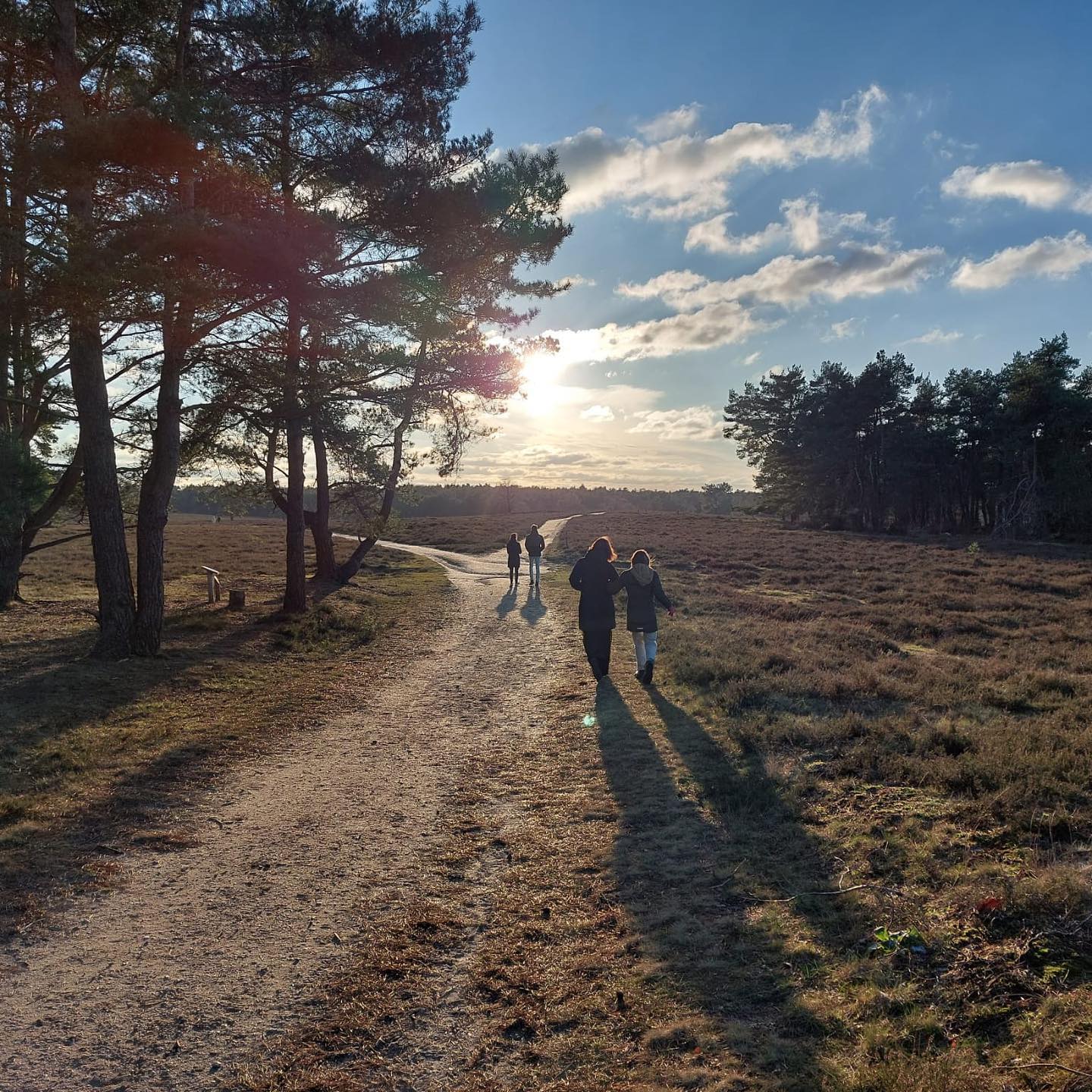 Naturhäuschen in Hattemerbroek