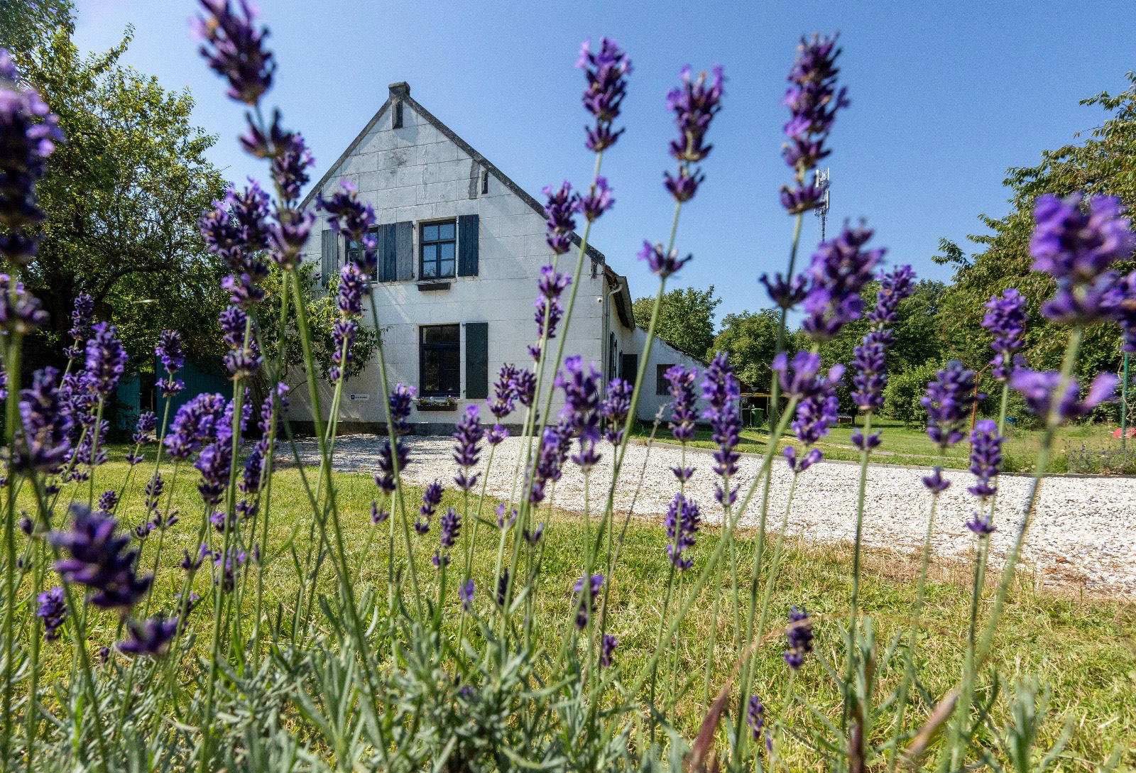 Nature house in Baexem