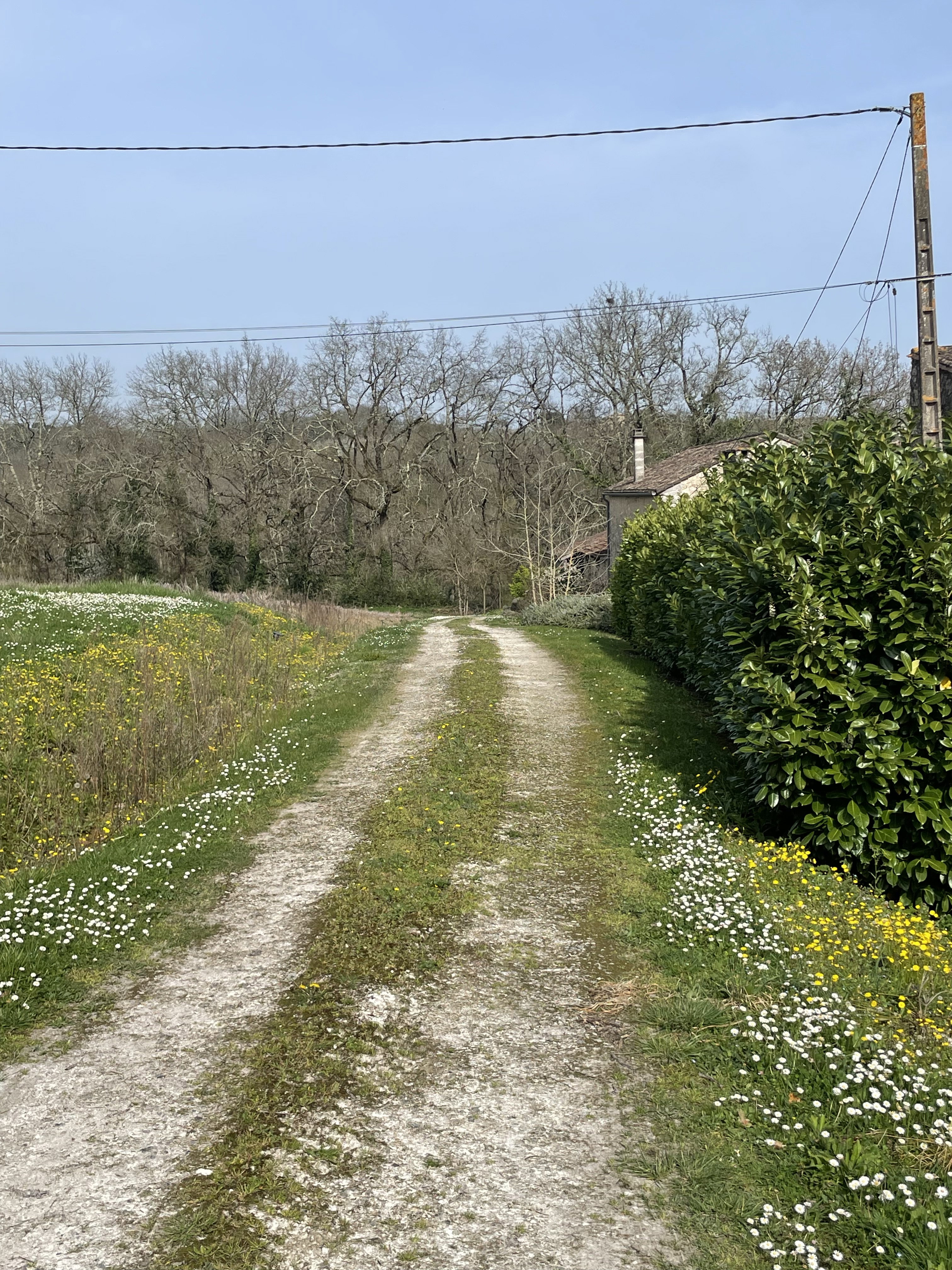Natuurhuisje in Savignac de Duras